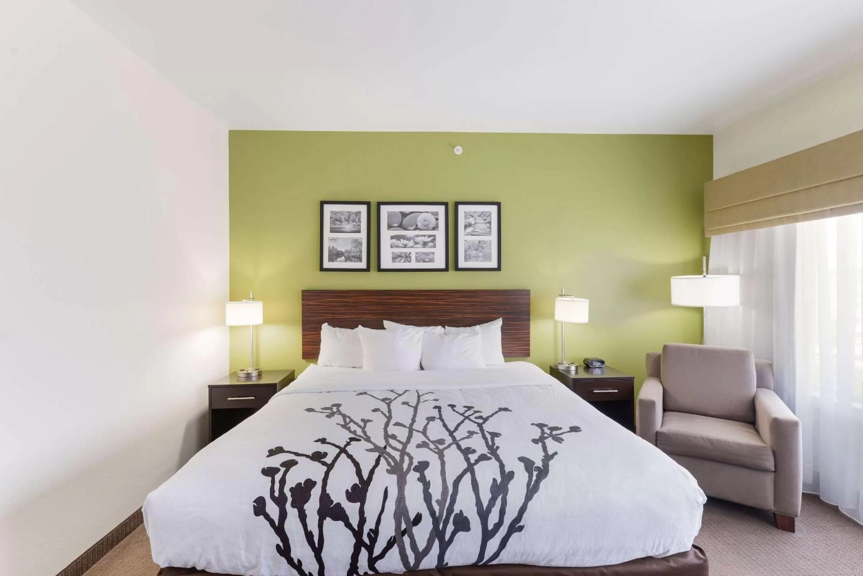 Photo of the whole room, Bed in Sleep Inn & Suites Midland West