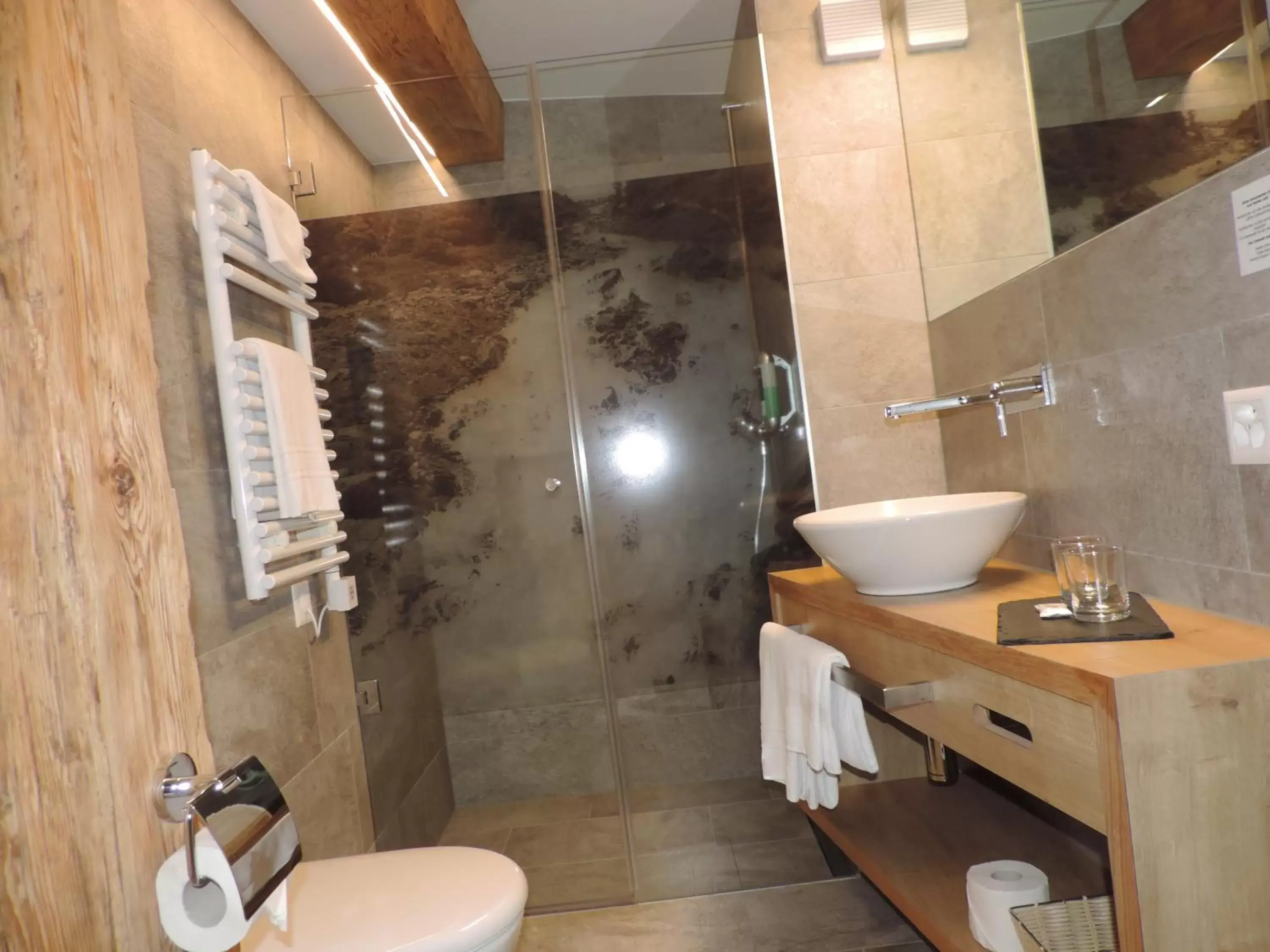 Area and facilities, Bathroom in Hotel Spöl Restaurant