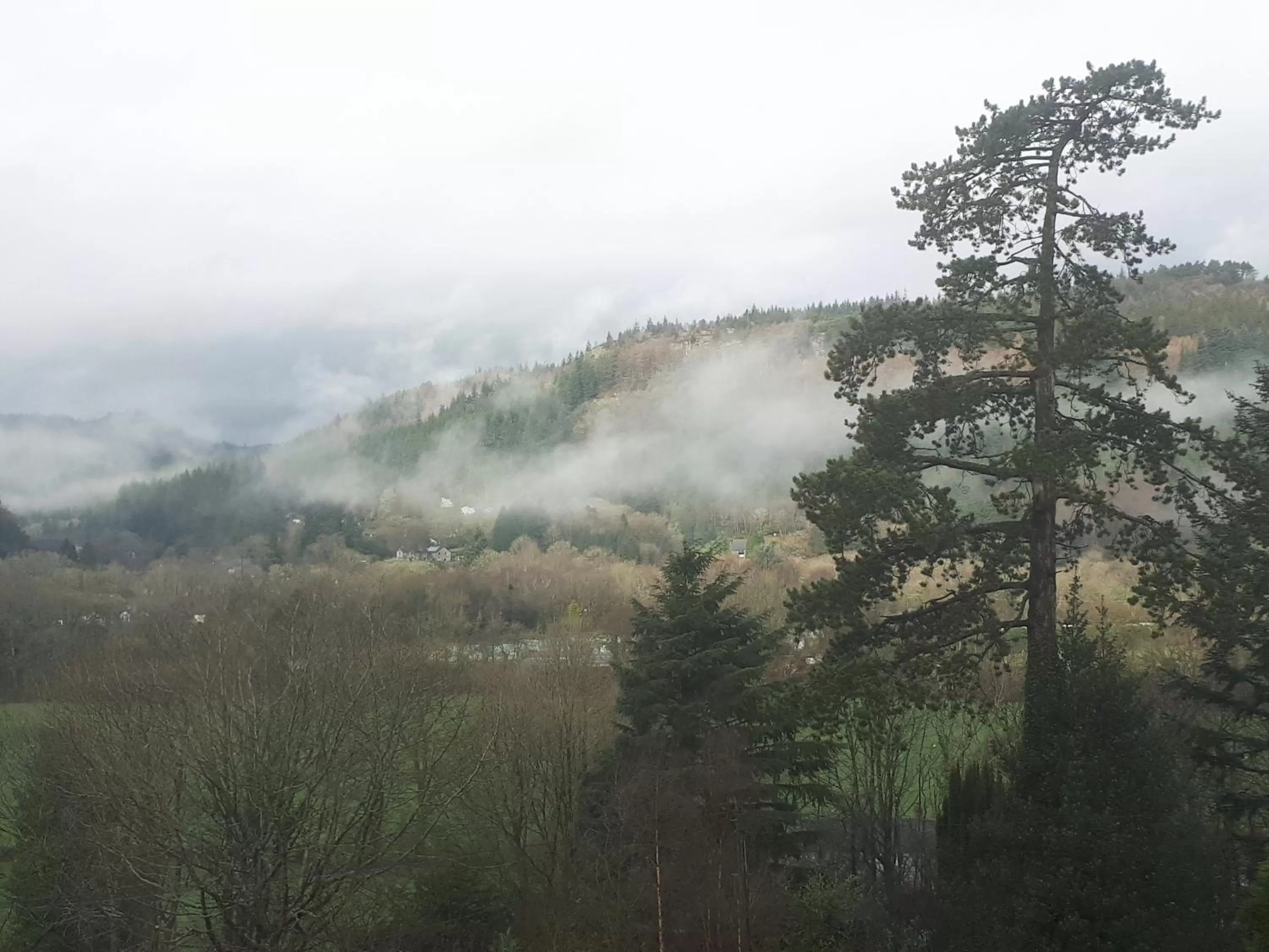 Natural landscape in Aberconwy House B&B