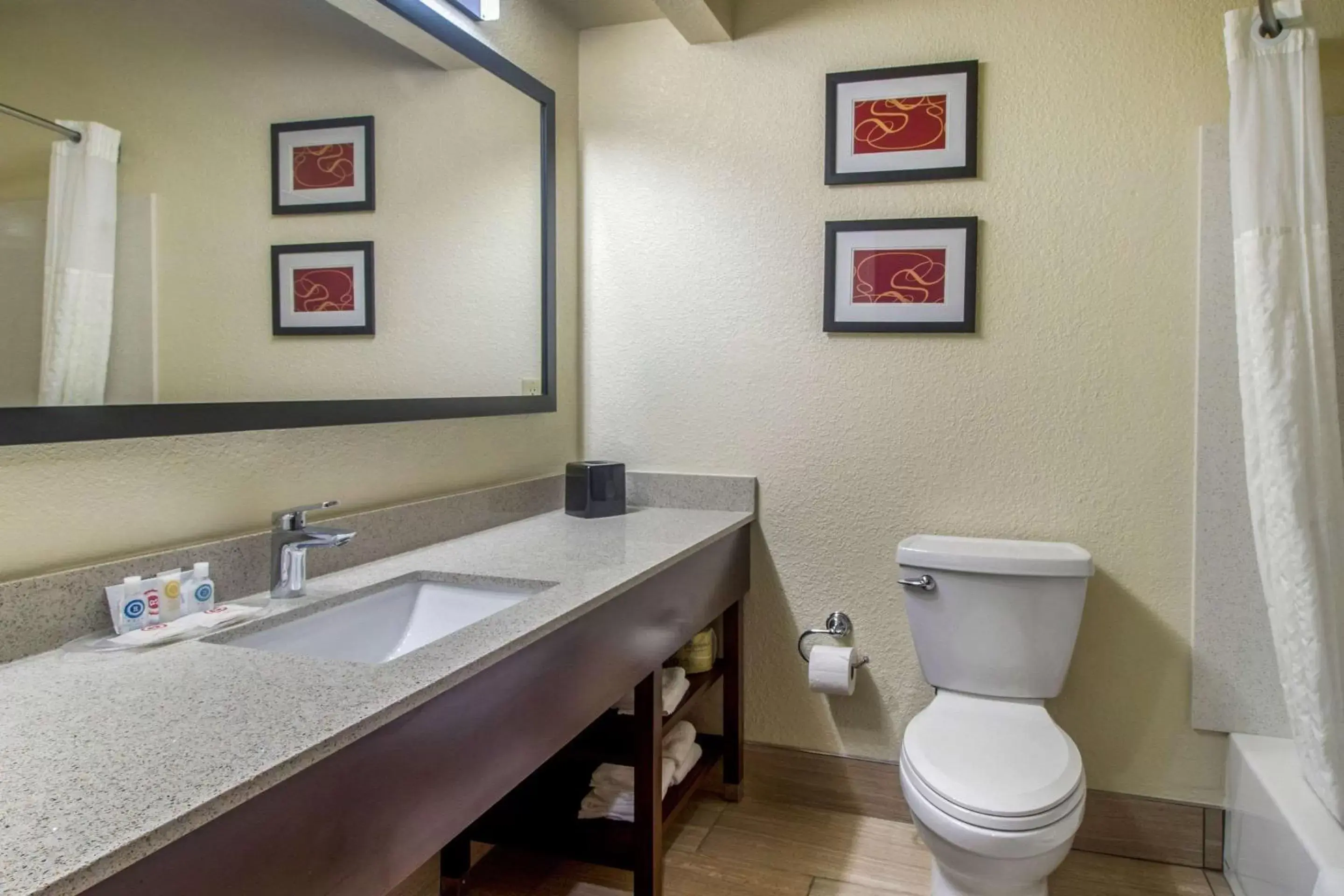 Photo of the whole room, Bathroom in Comfort Suites Danville