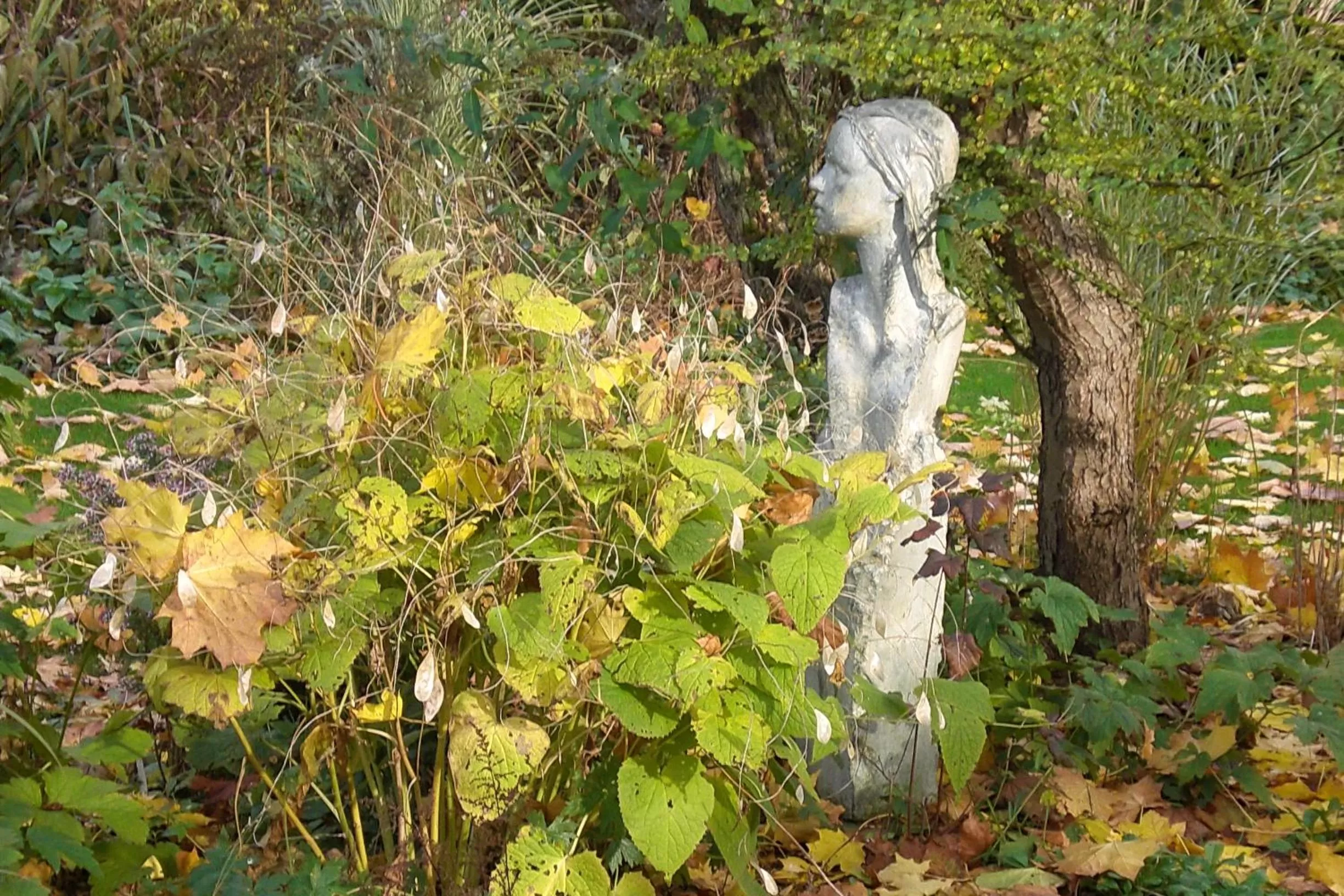 Winter in B&B De Slaperije