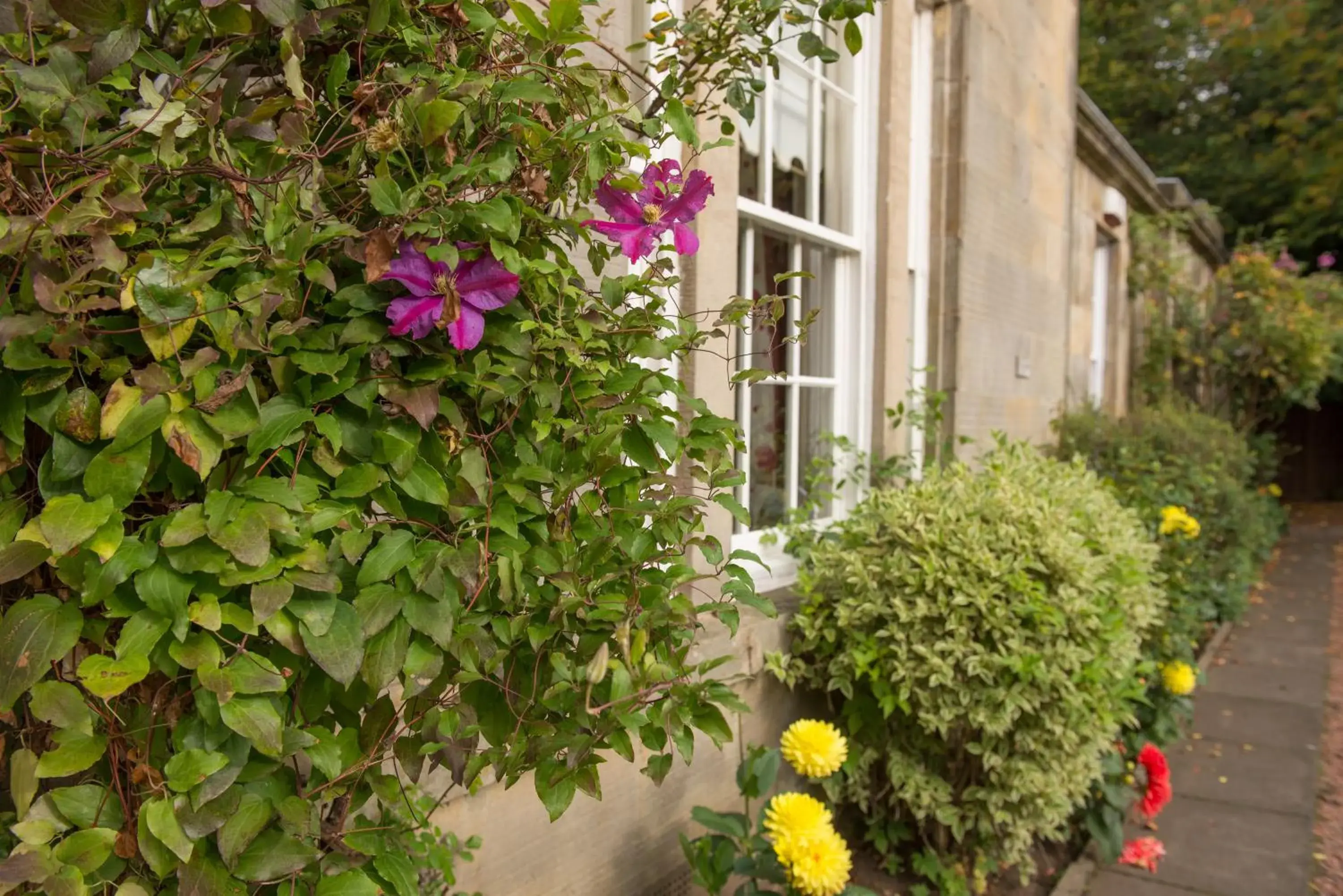 Patio, Patio/Outdoor Area in Bankton House Hotel