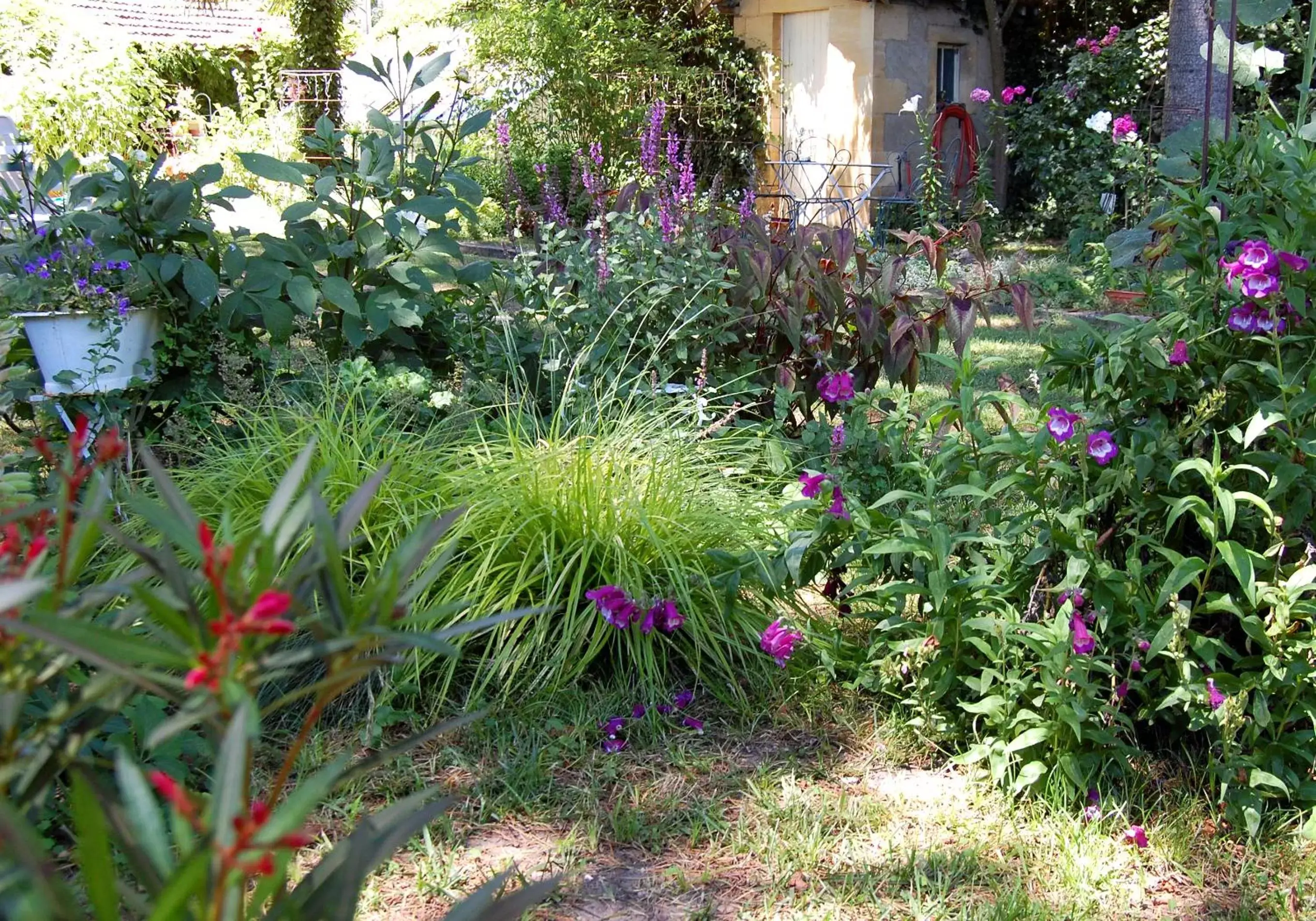 Spring, Garden in Madeleine Bergerac