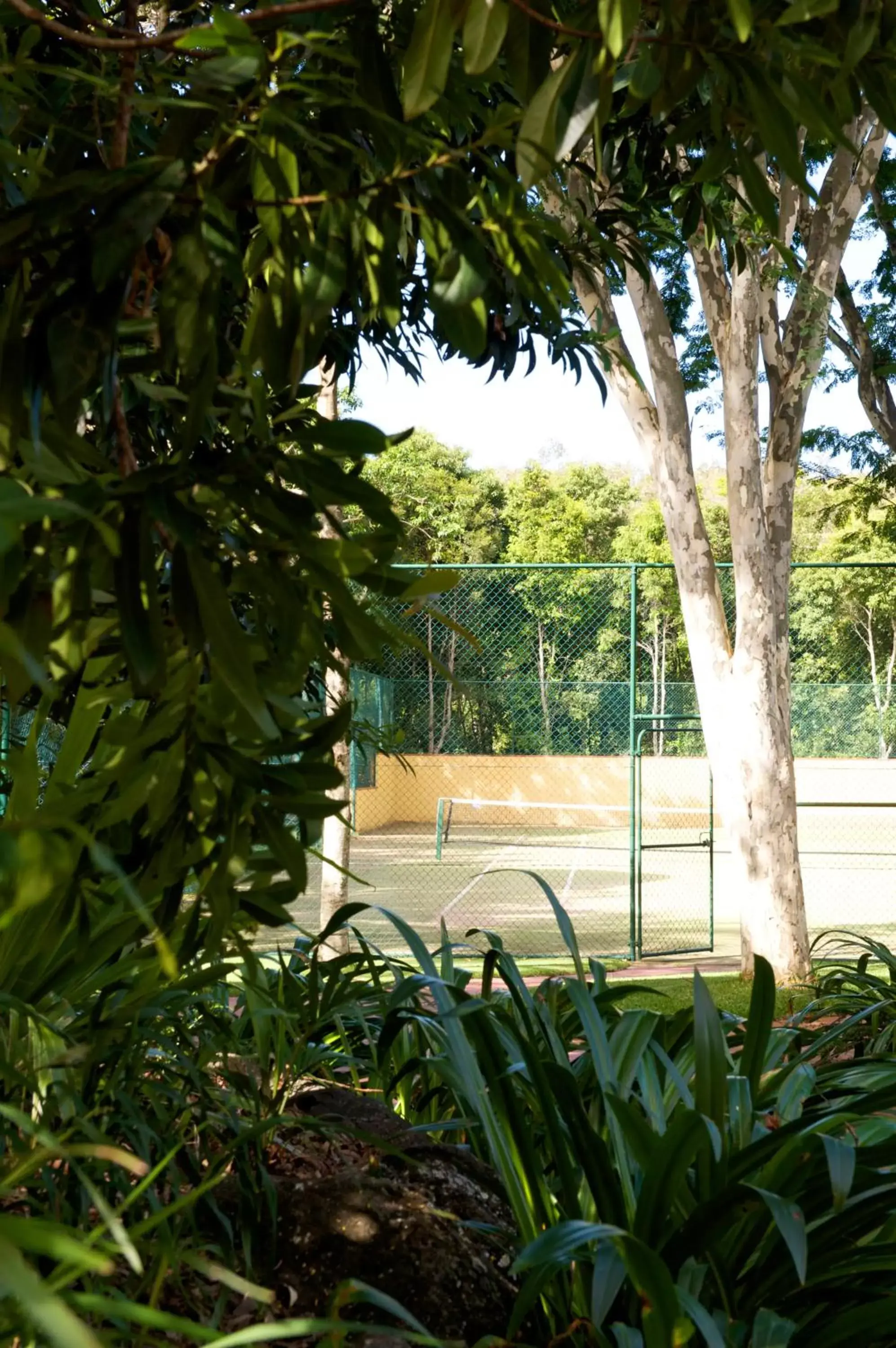 Tennis court in Byron Links Apartments