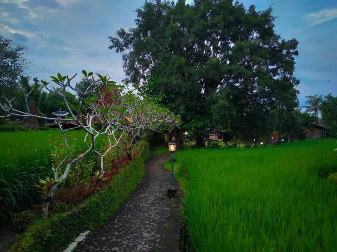 Natural landscape, Garden in Hills Joglo Villa