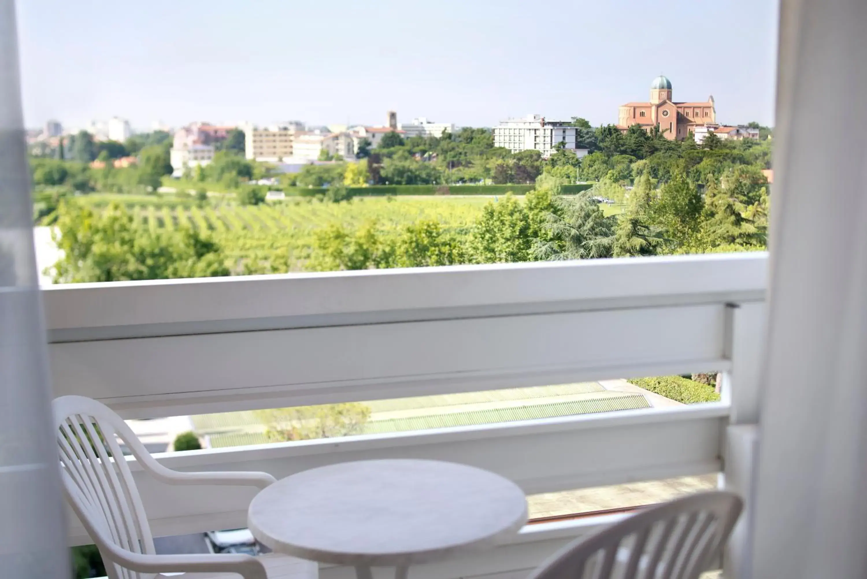 Balcony/Terrace in Apollo Terme Hotel