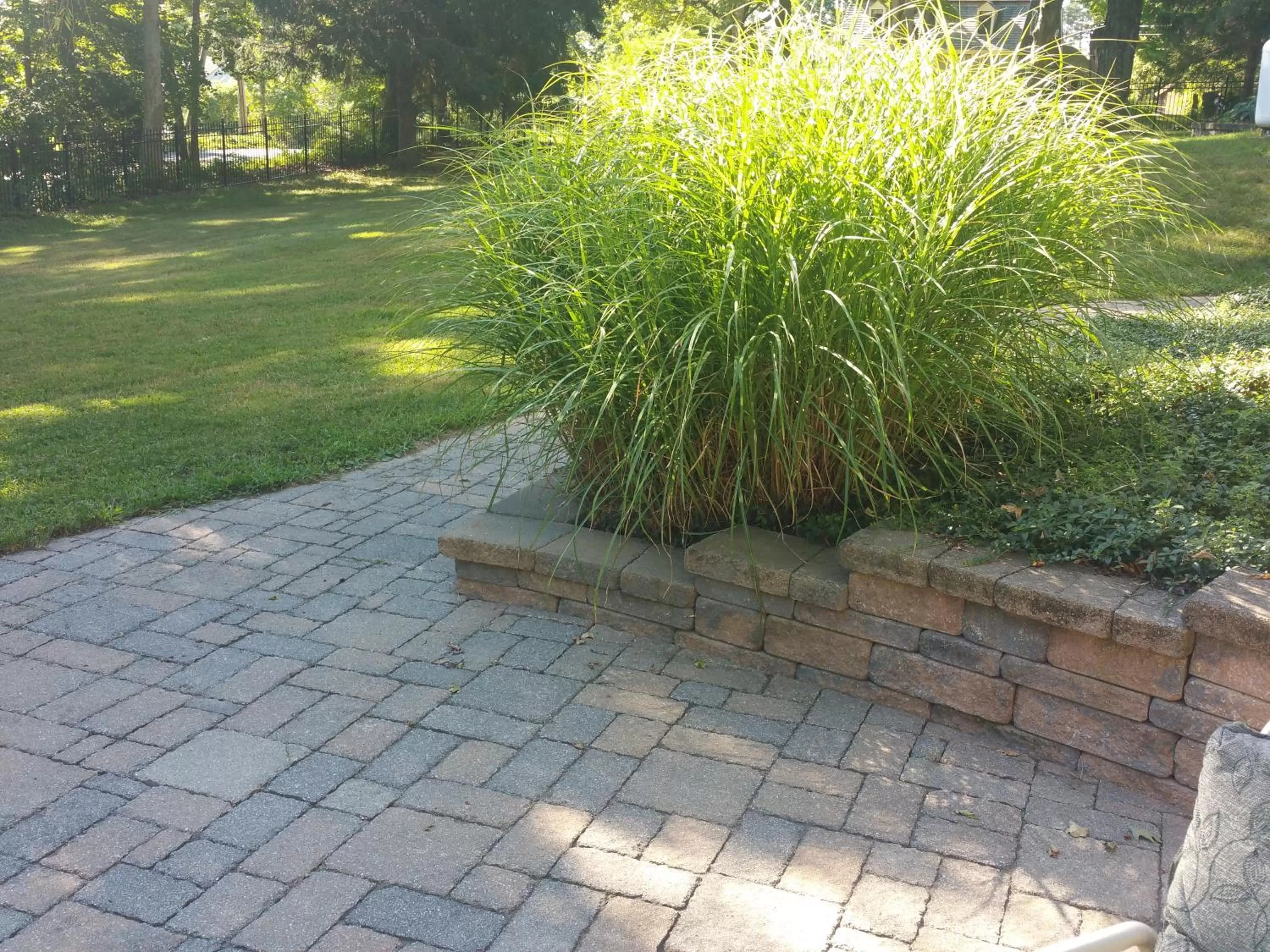 View (from property/room) in The Bevin House B&B