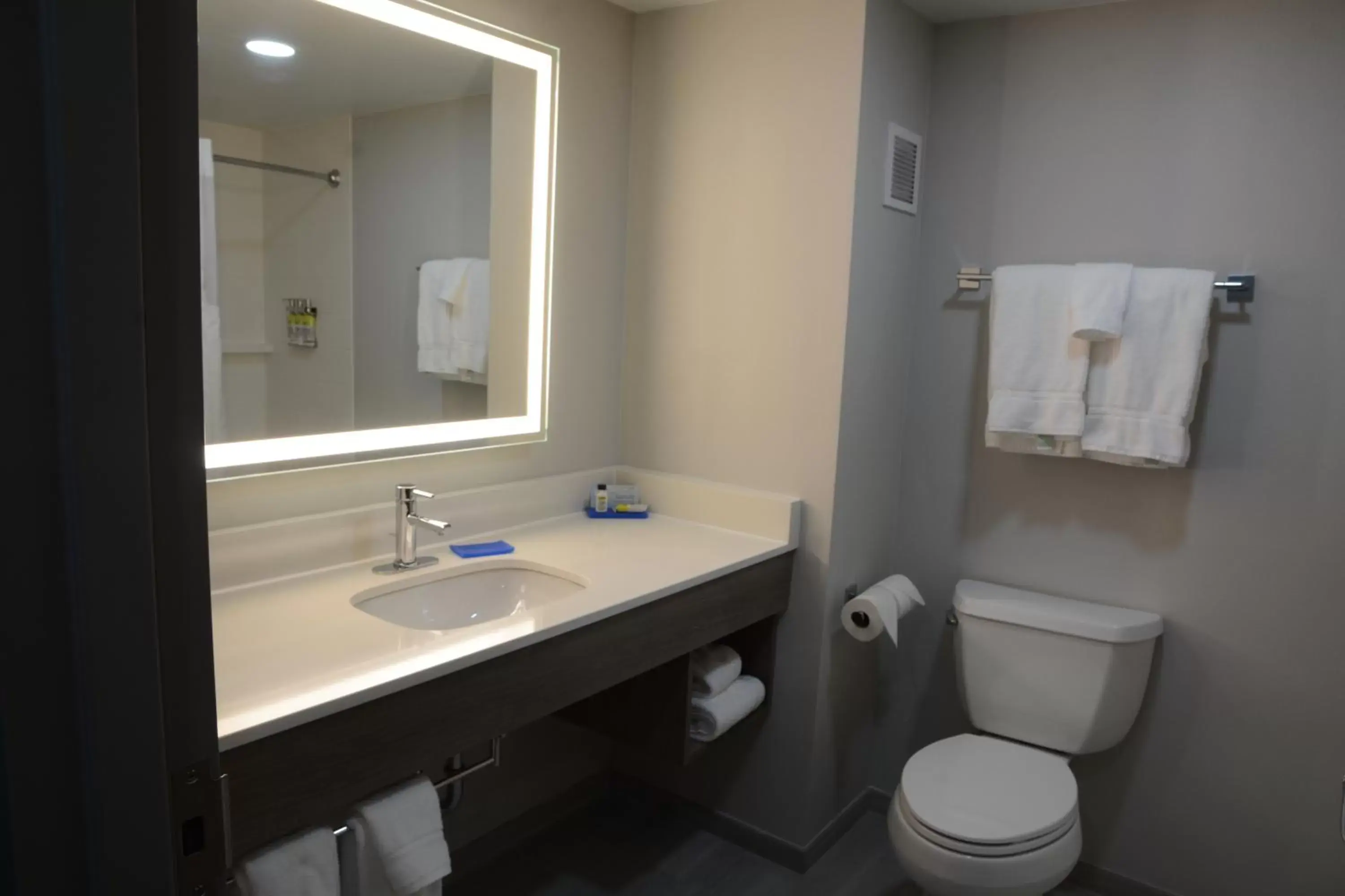 Bathroom in Holiday Inn Express Athens, an IHG Hotel