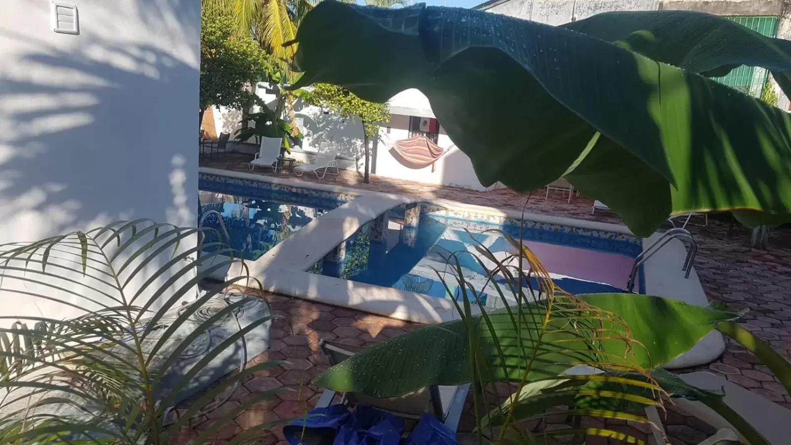 Garden, Swimming Pool in Claro de Luna