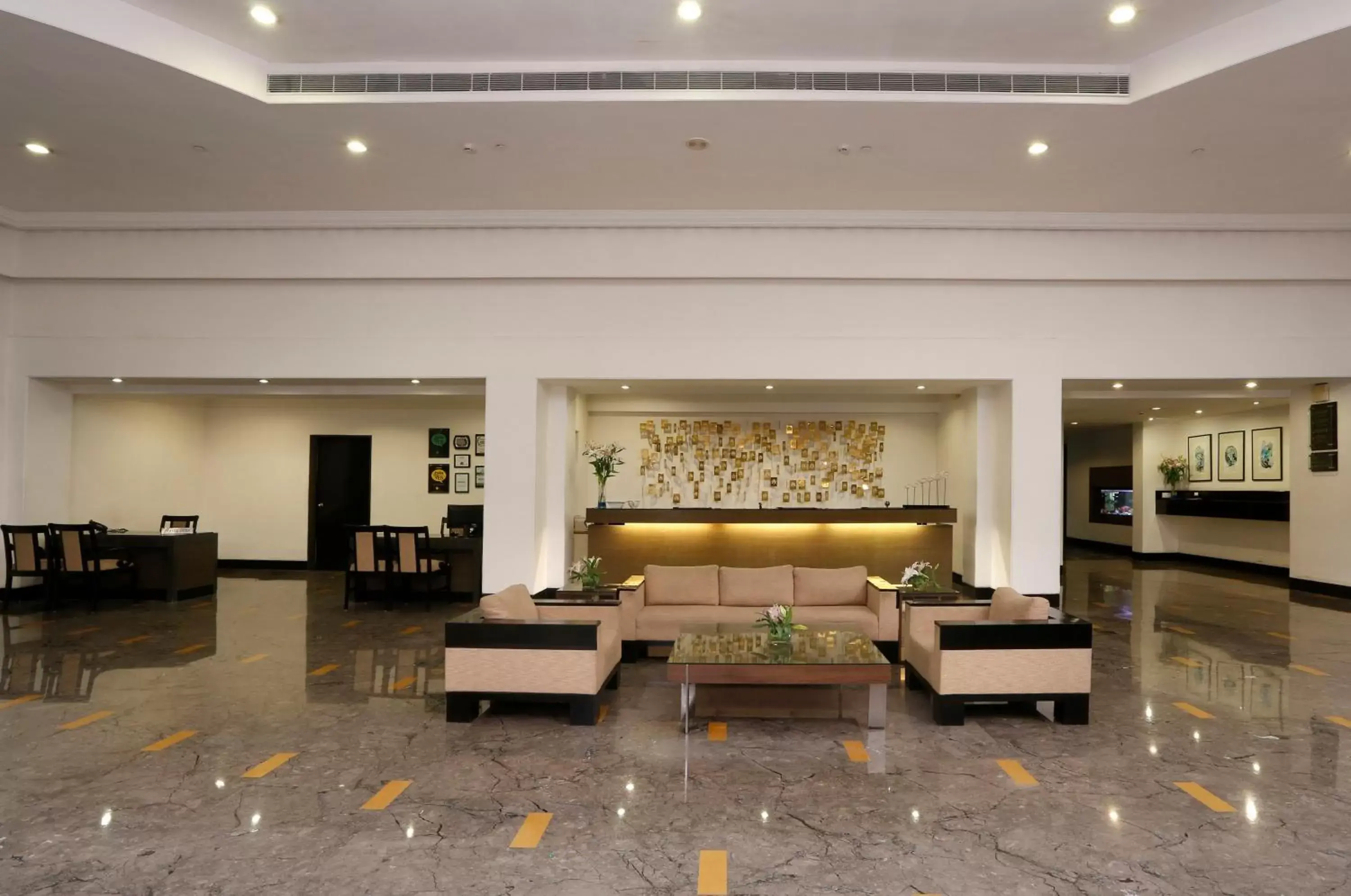 Lobby or reception, Lobby/Reception in Green Park, Visakhapatnam