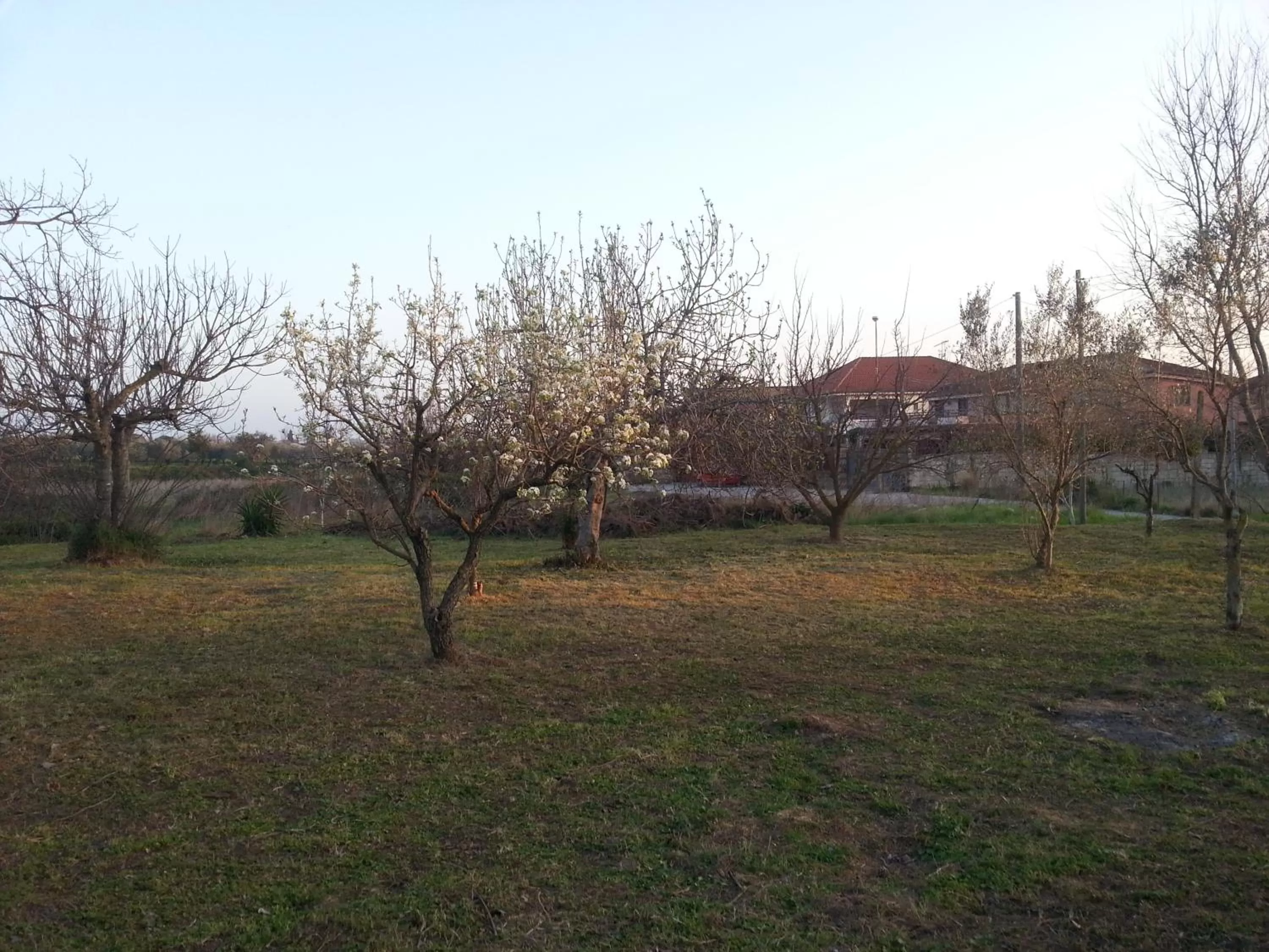 Garden view, Garden in La Masseria