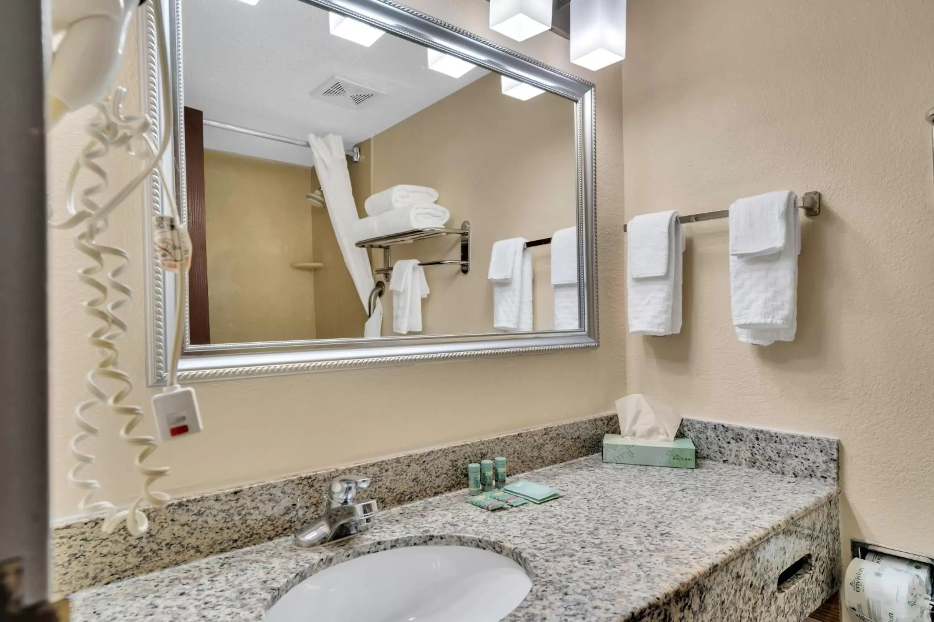 Shower, Bathroom in Best Western Hampton Coliseum Inn