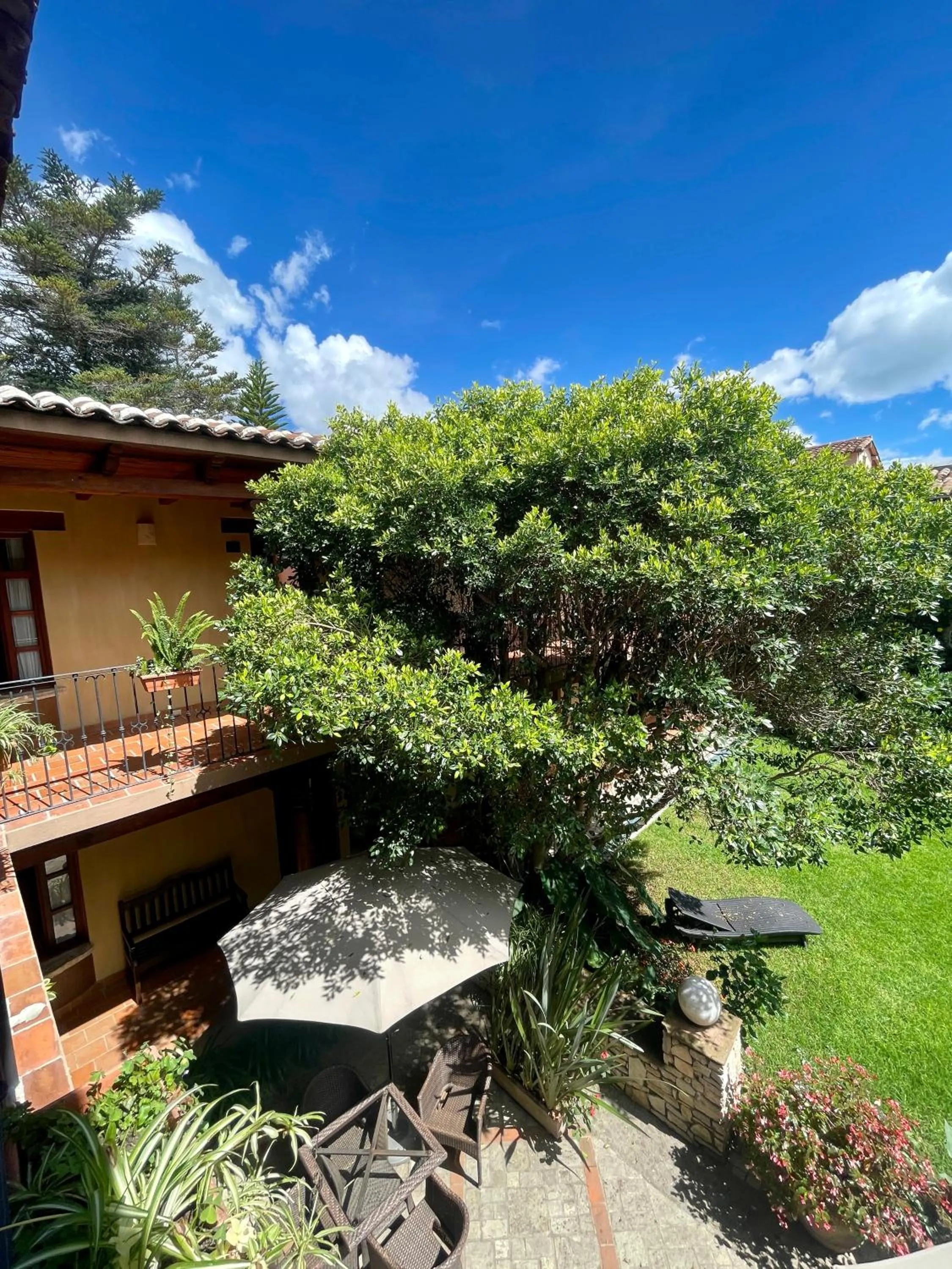 Garden in Parador Margarita