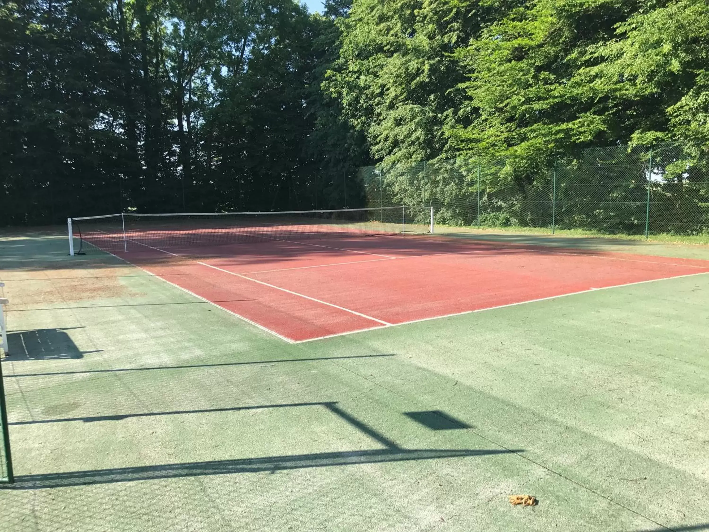 Garden, Tennis/Squash in Château de Sancy