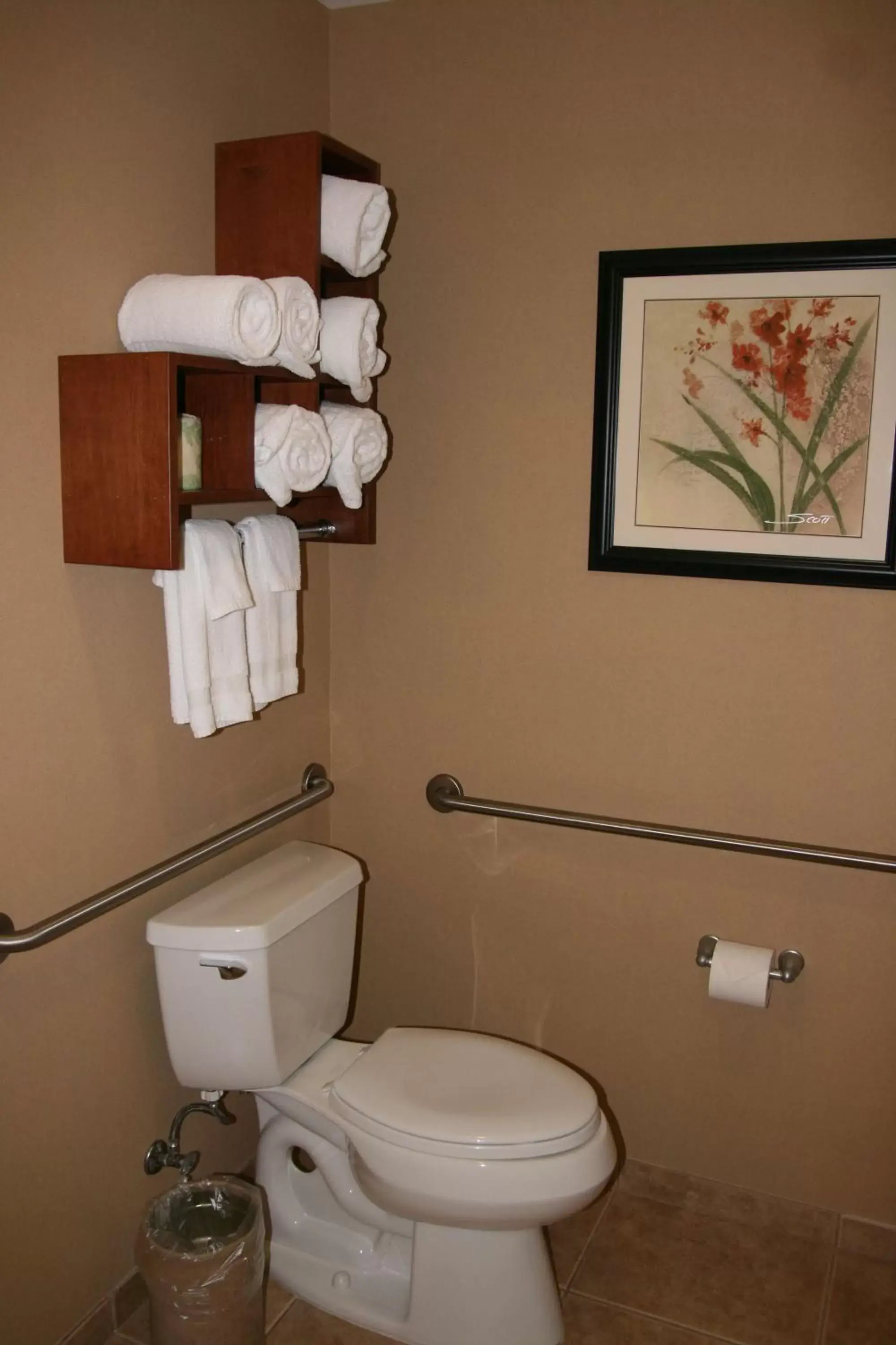 Bathroom in Hampton Inn & Suites Folsom
