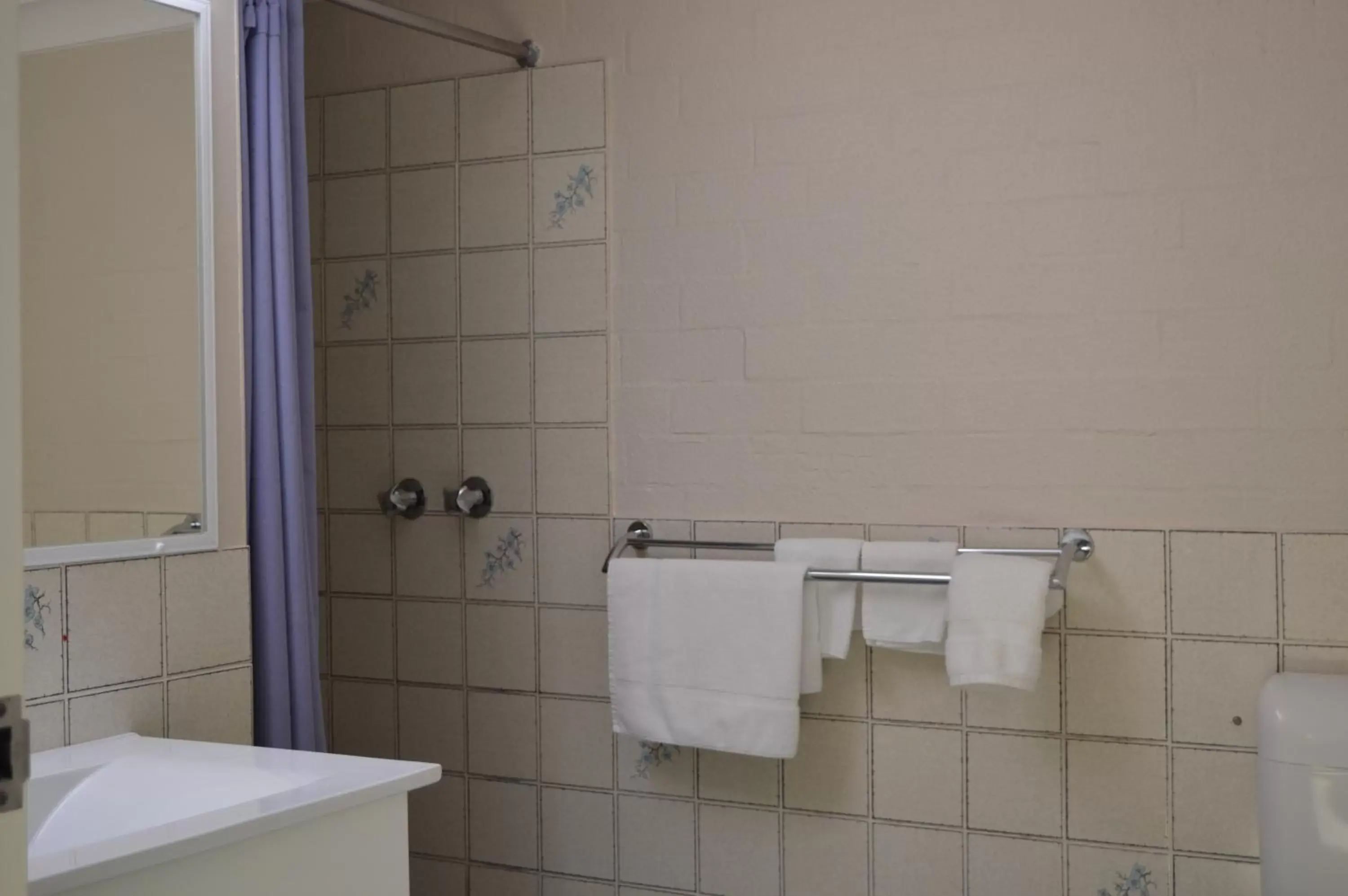 Shower, Bathroom in Sunseeker Motor Inn