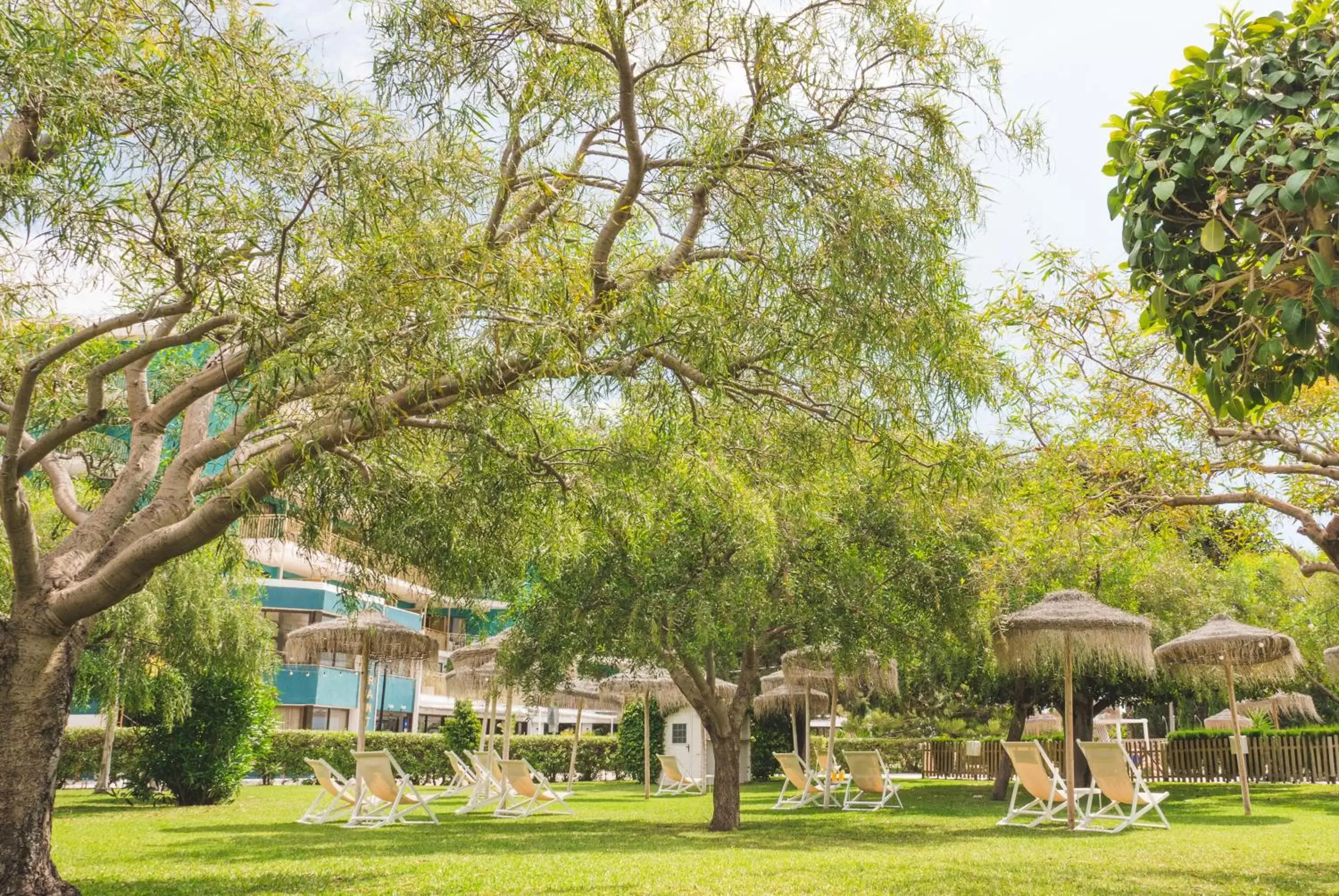 Garden in Hotel Almirante