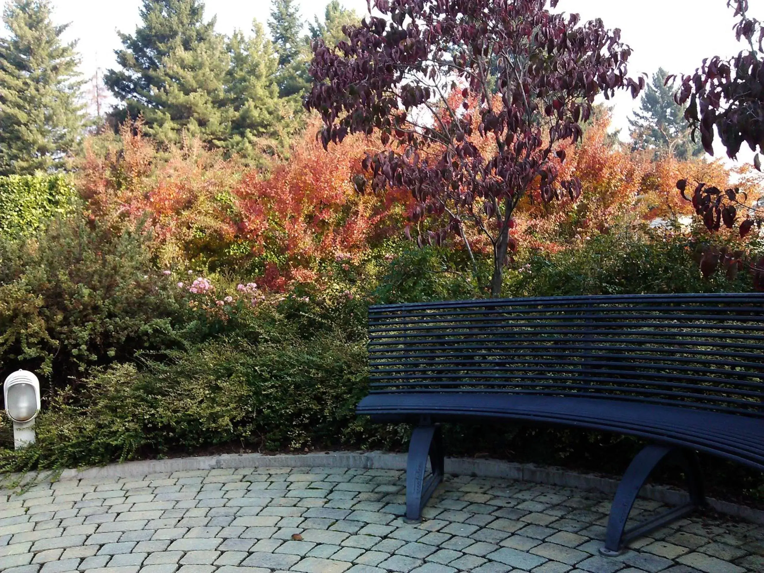 Other, Garden in Cardano Hotel Malpensa