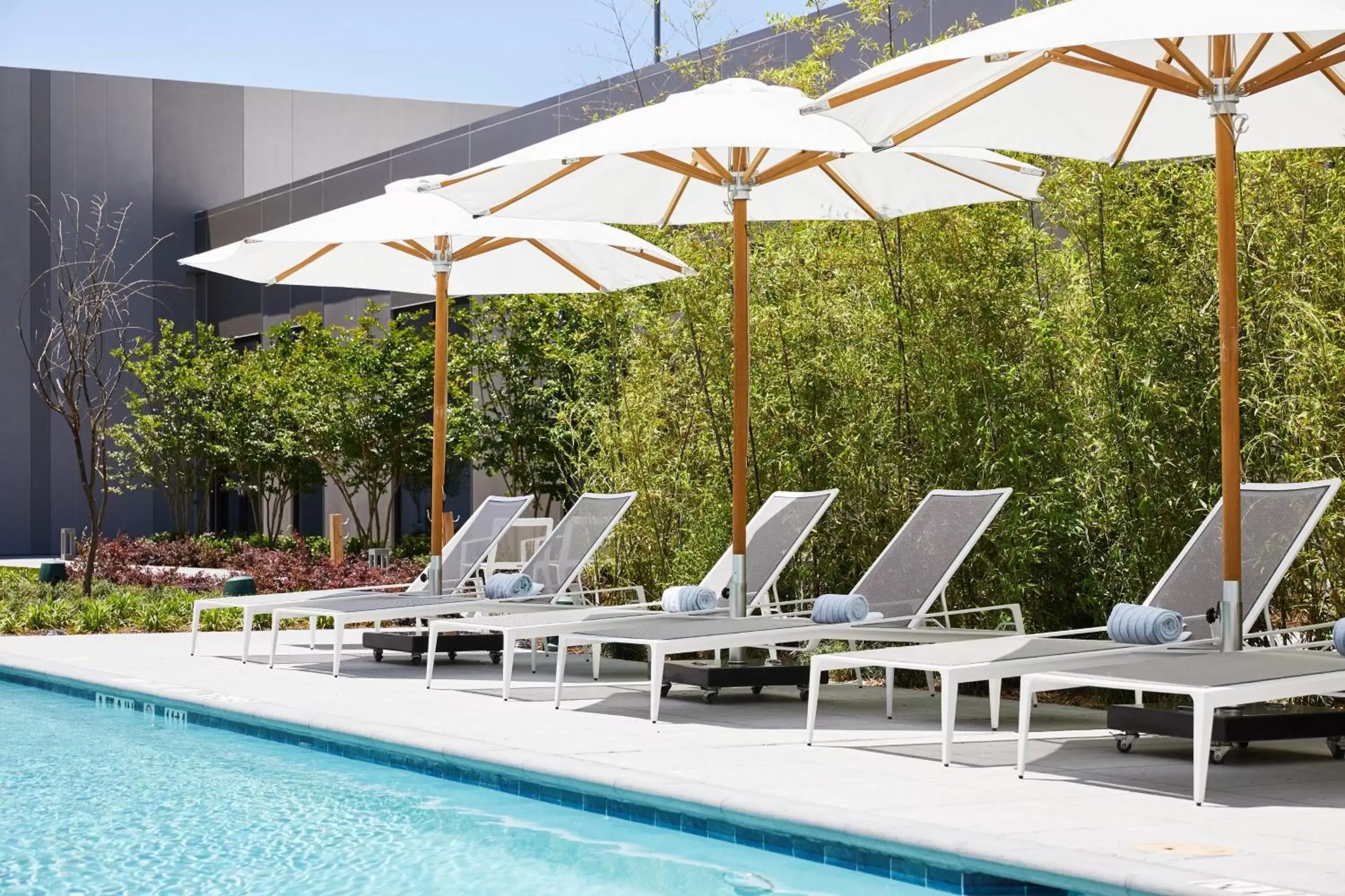 Swimming Pool in Residence Inn By Marriott Dallas By The Galleria