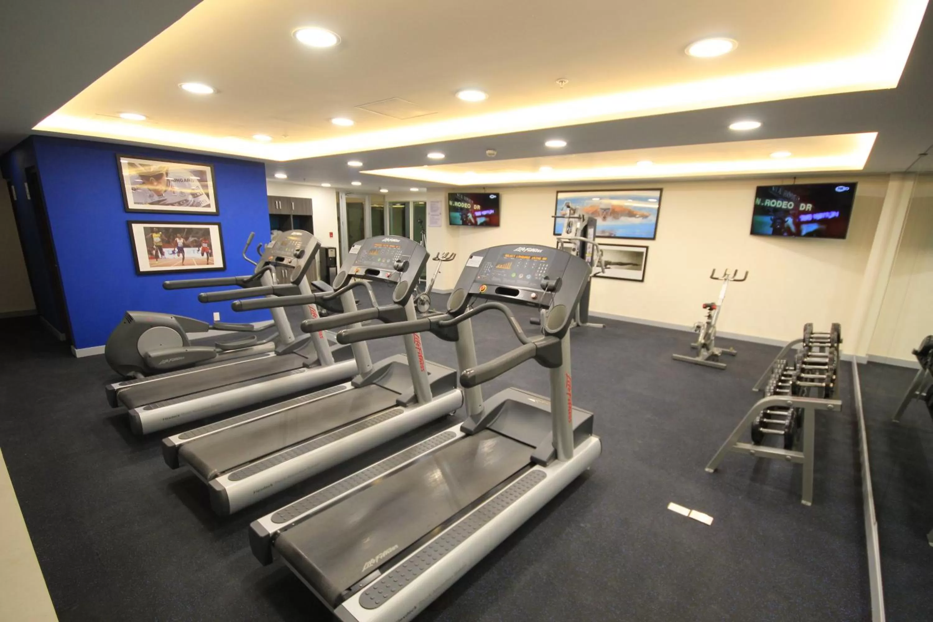 Fitness centre/facilities in Holiday Inn & Suites Plaza Mayor by IHG
