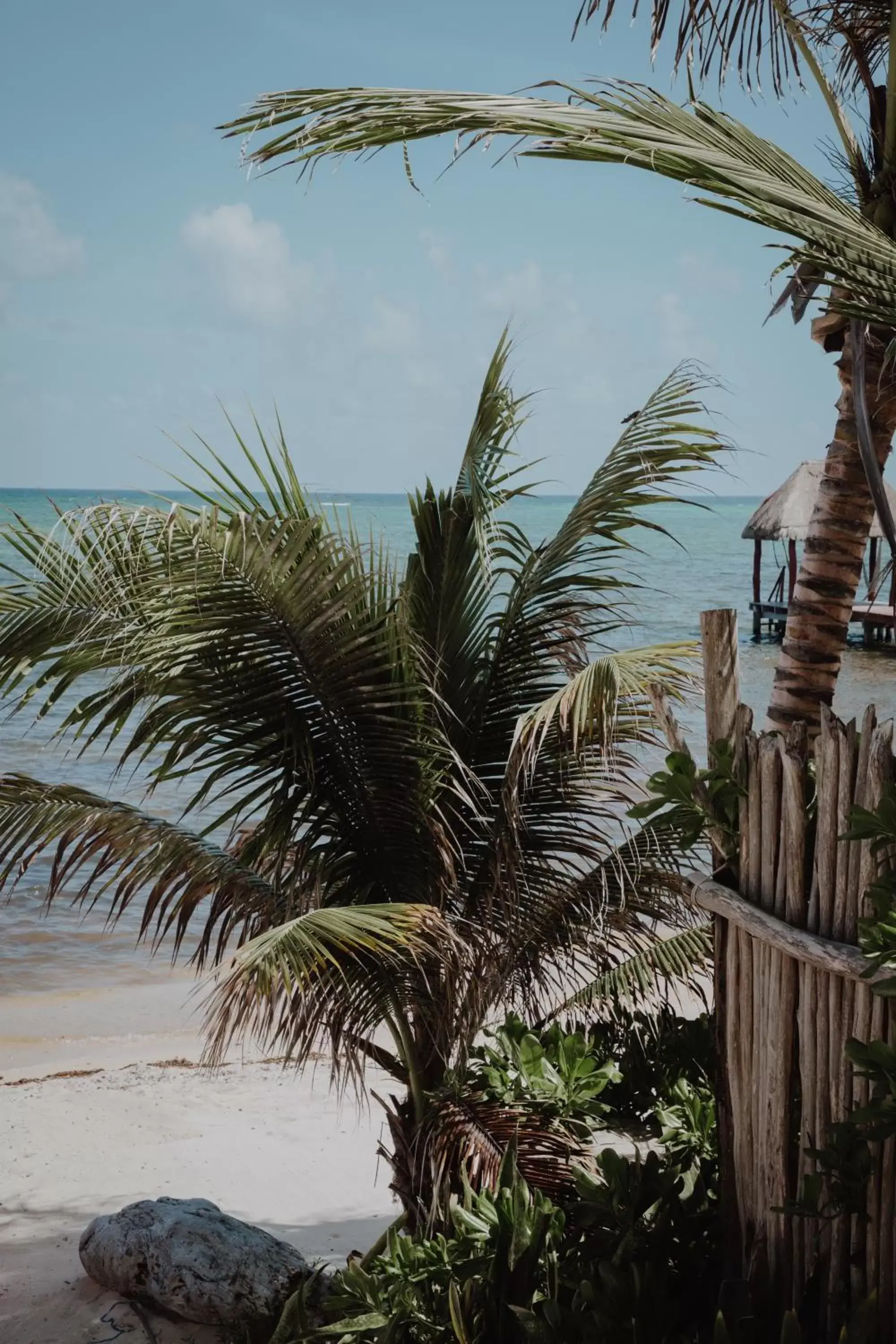 Natural landscape, Beach in Cielo Maya Beach Tulum