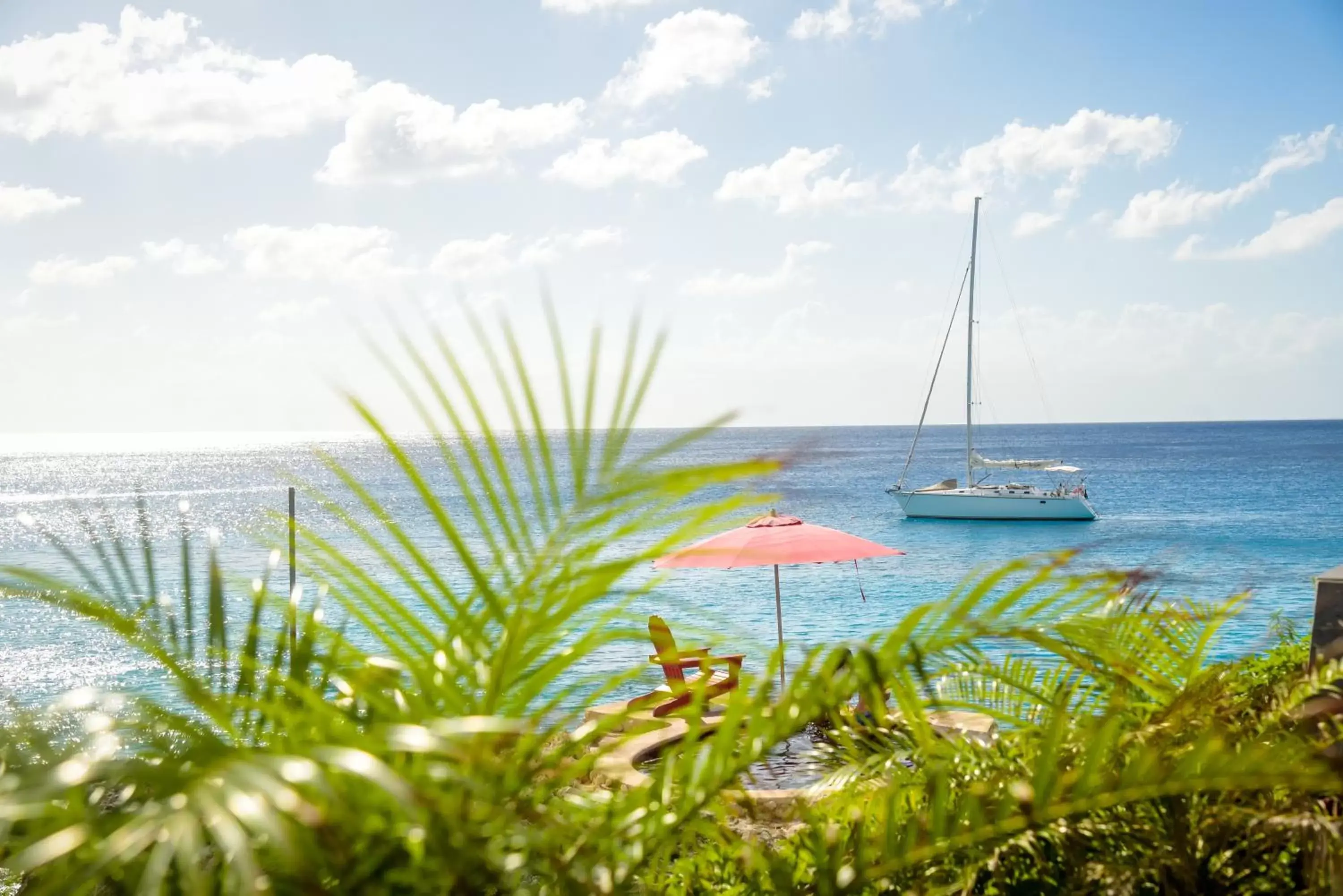 Natural landscape in Hotel B Cozumel