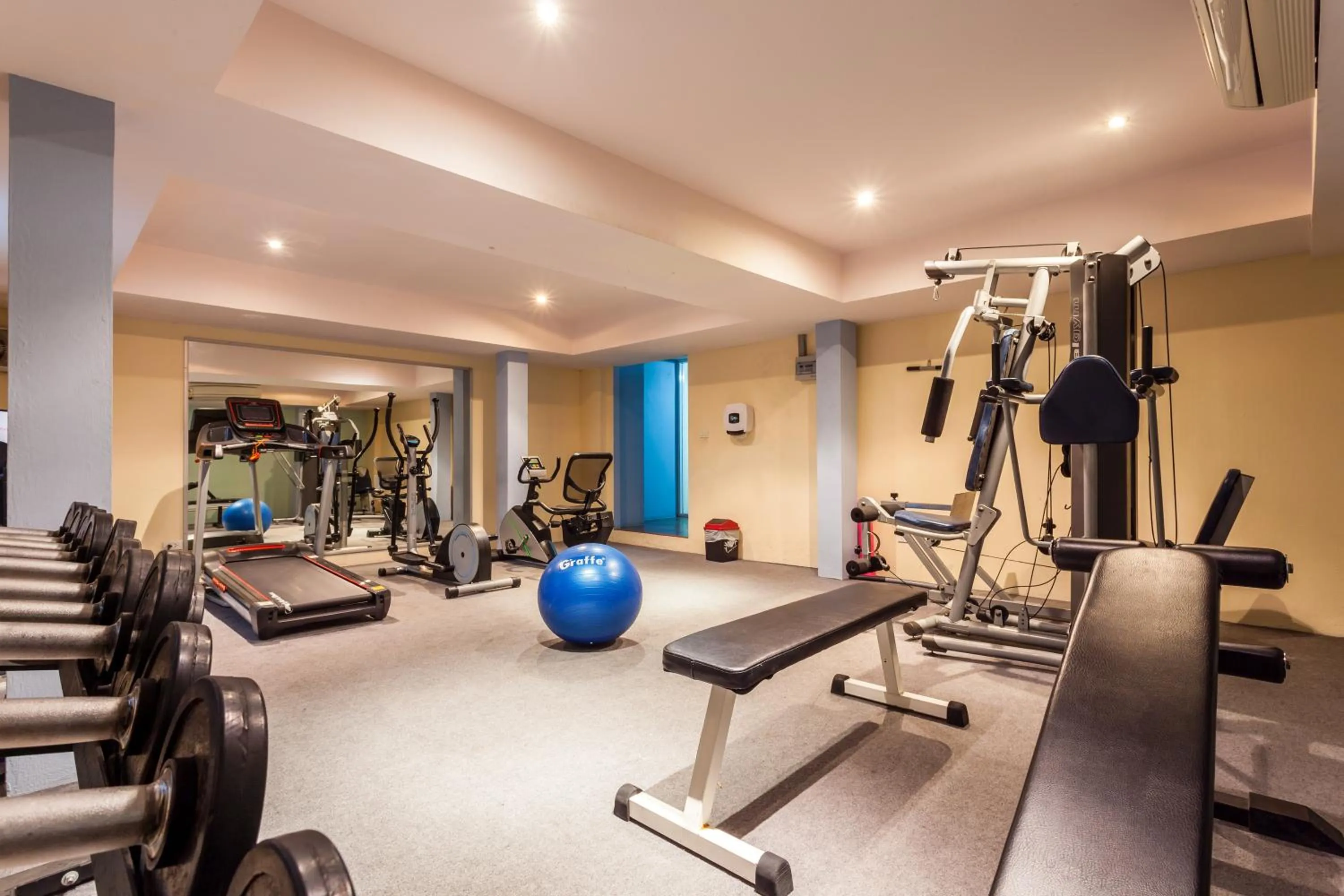 Fitness centre/facilities in Tara Court Hotel