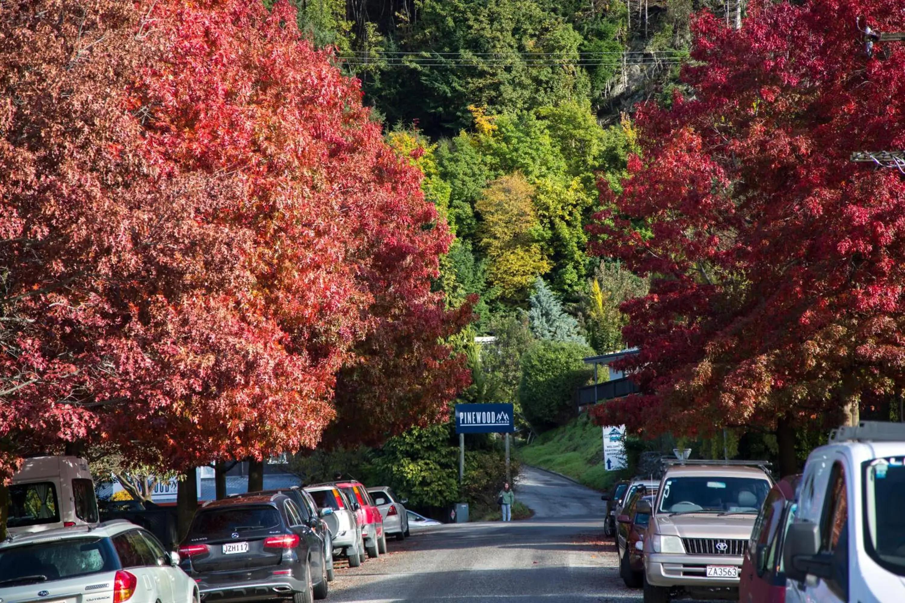 Street view in Pinewood Lodge