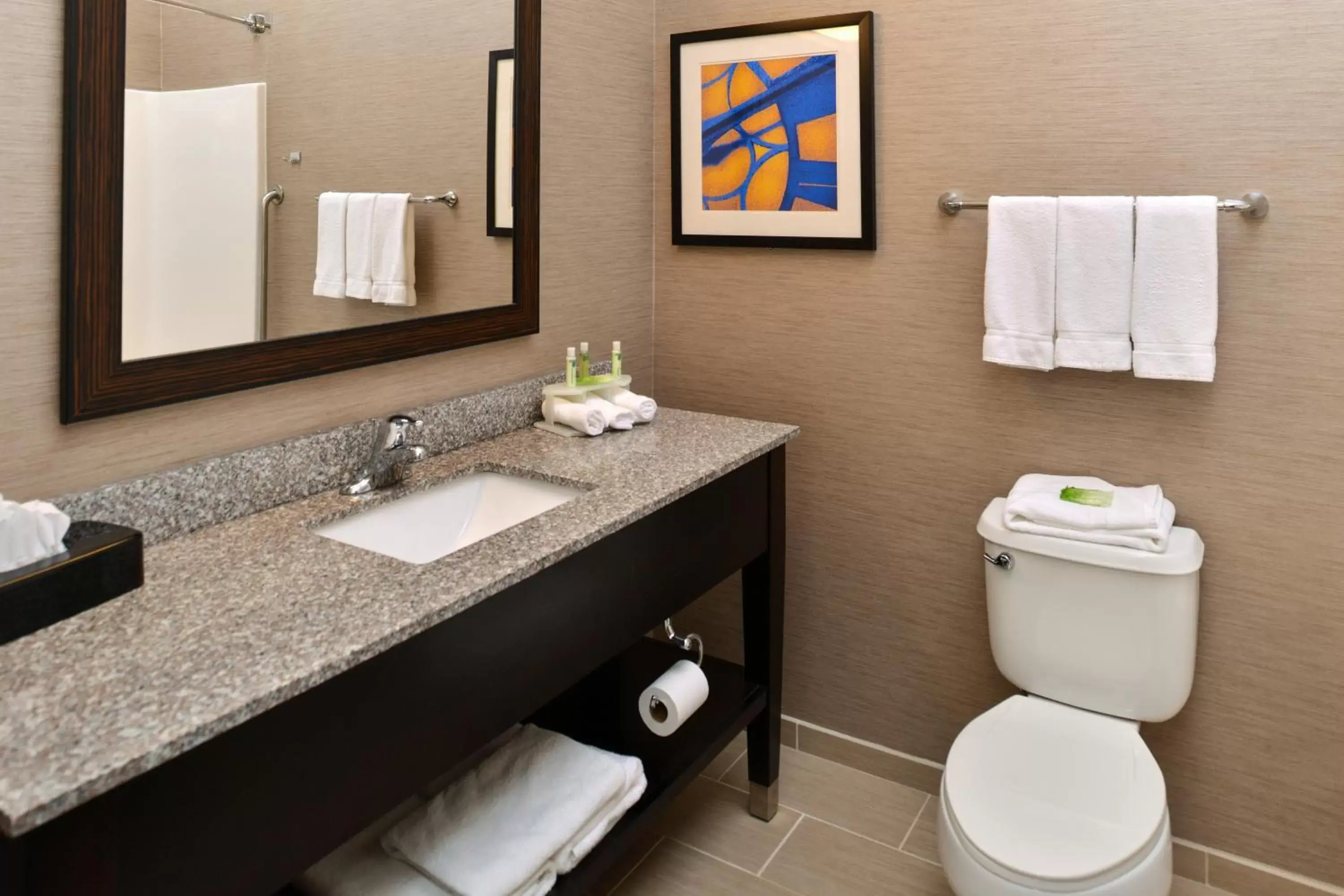 Bathroom in Holiday Inn Express Hotel & Suites St. Louis West-O'Fallon, an IHG Hotel