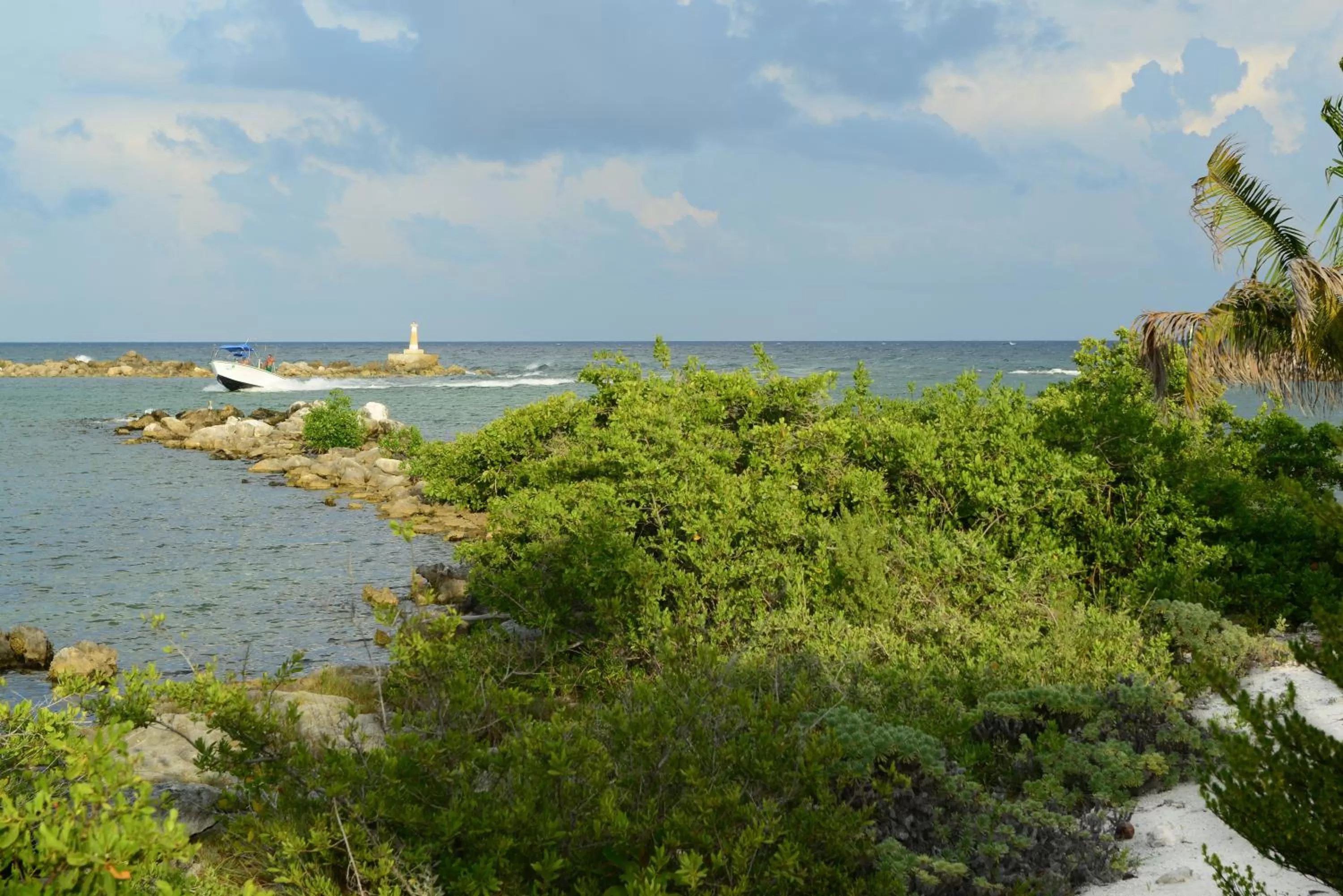 Area and facilities in B&B Mom's House