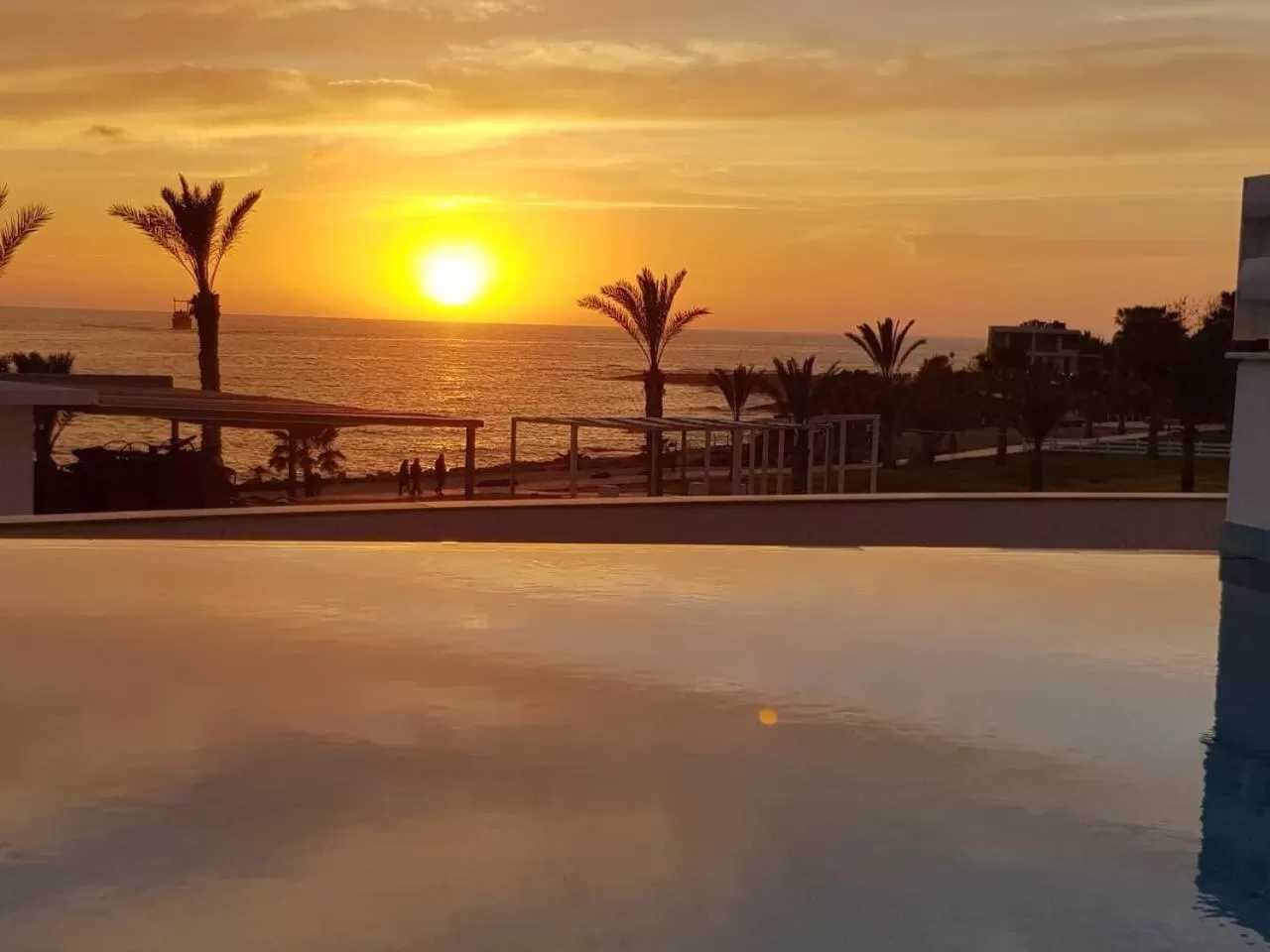 Natural landscape in King Evelthon Beach Hotel & Resort