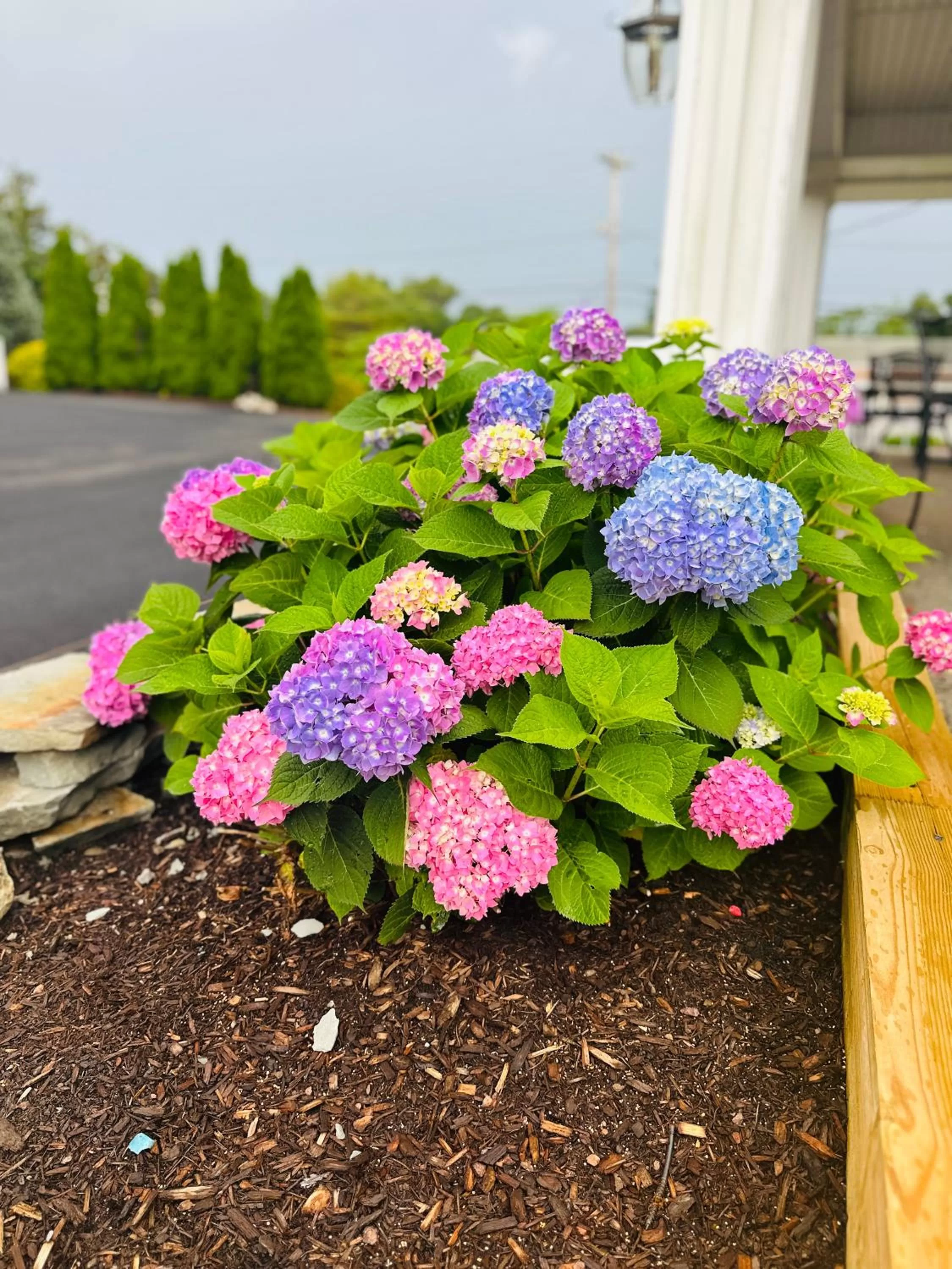 Property building in Blue Spruce