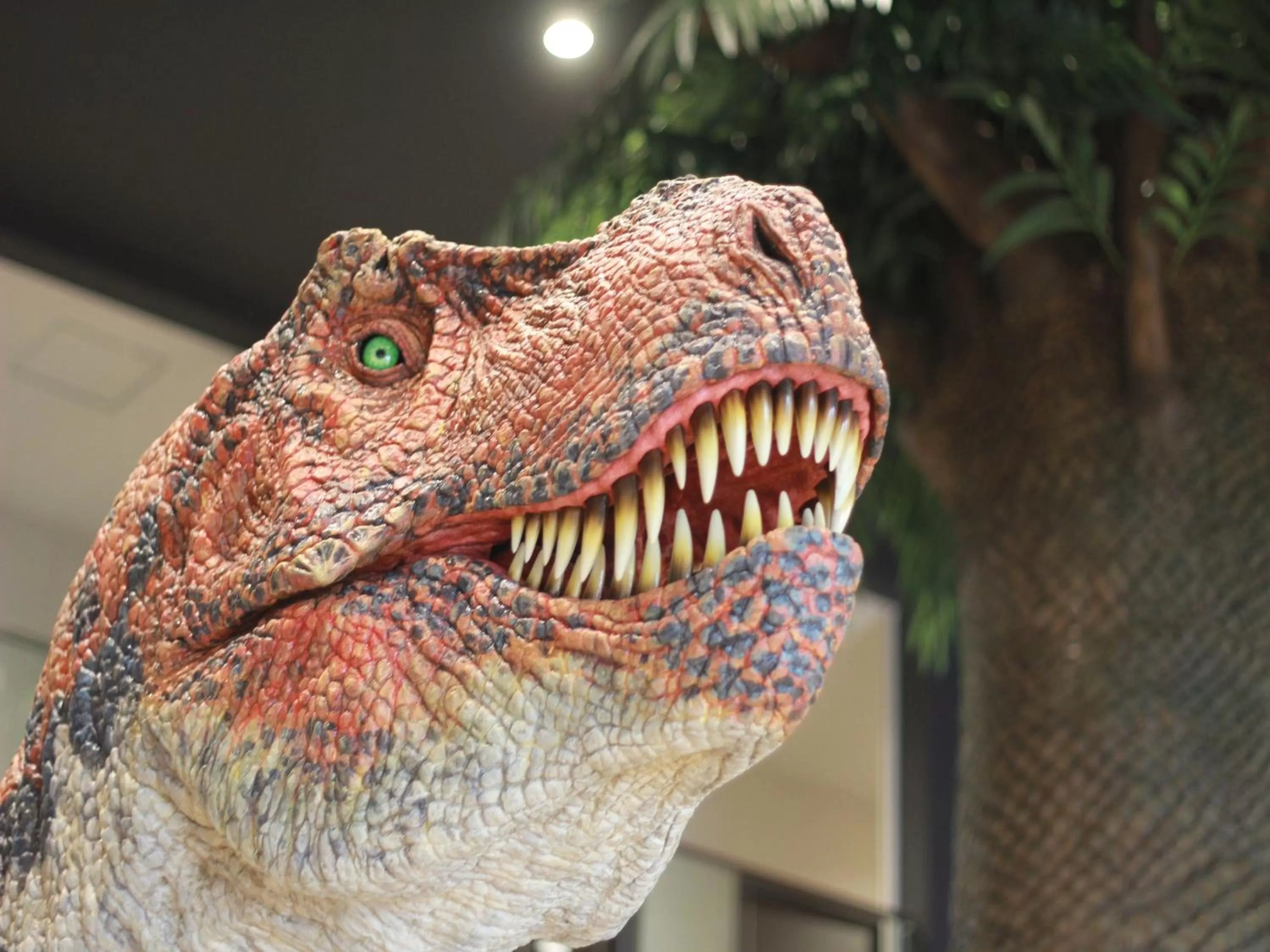 Other in Henn na Hotel Laguna Ten Bosch