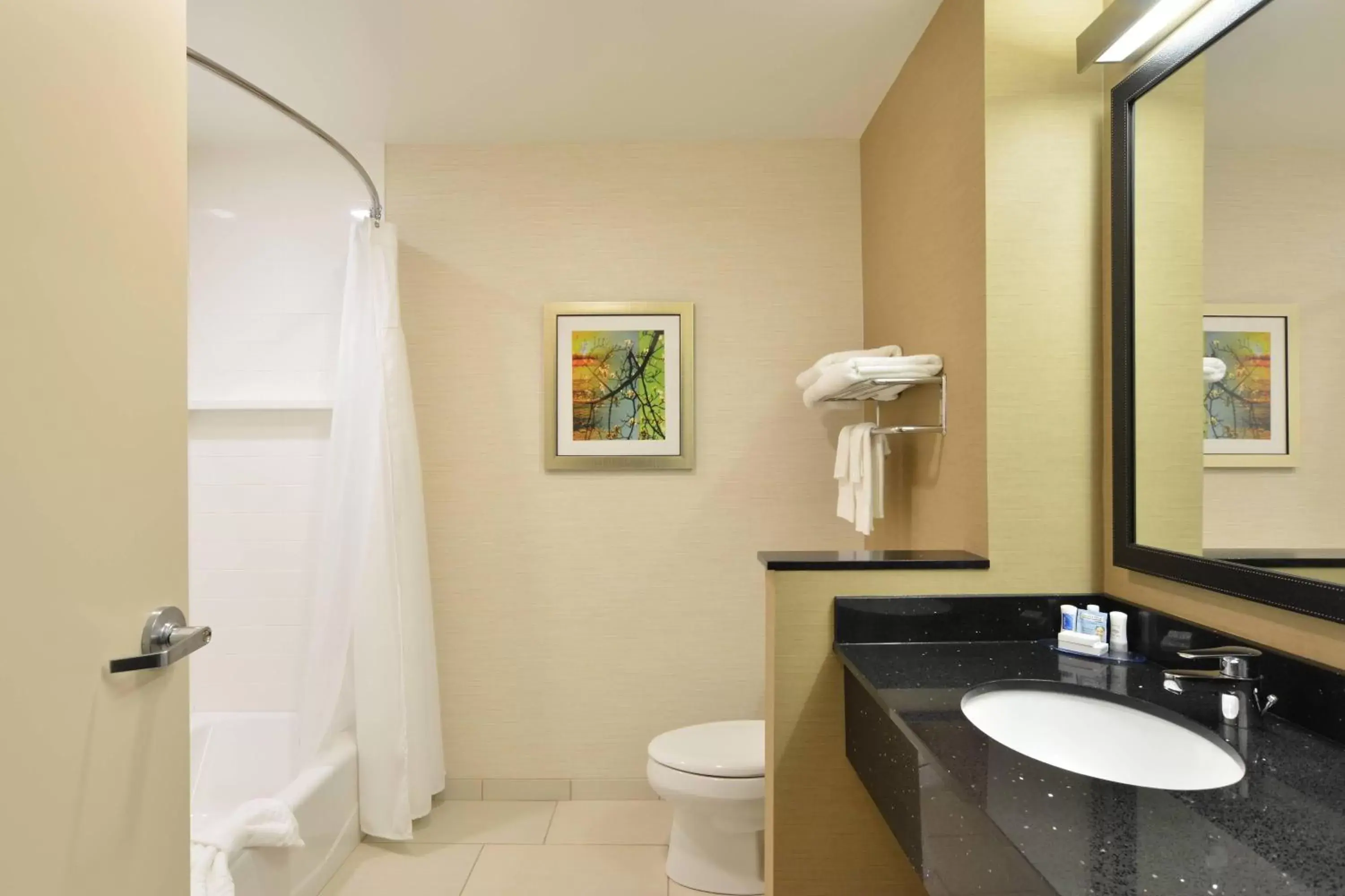 Bathroom in Fairfield Inn & Suites by Marriott Eau Claire/Chippewa Falls