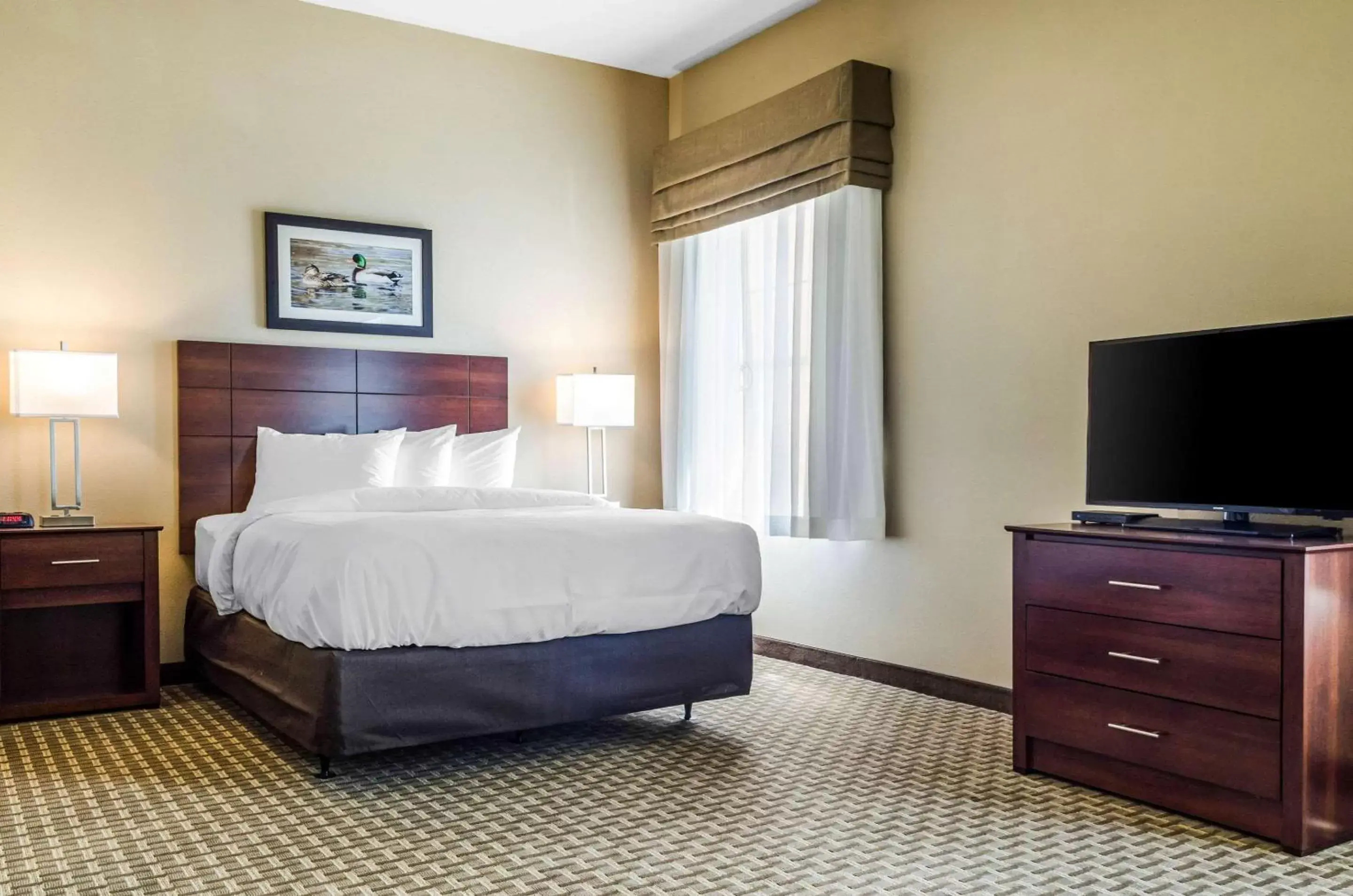 Photo of the whole room, Bed in MainStay Suites Hackberry Sportsman's Lodge