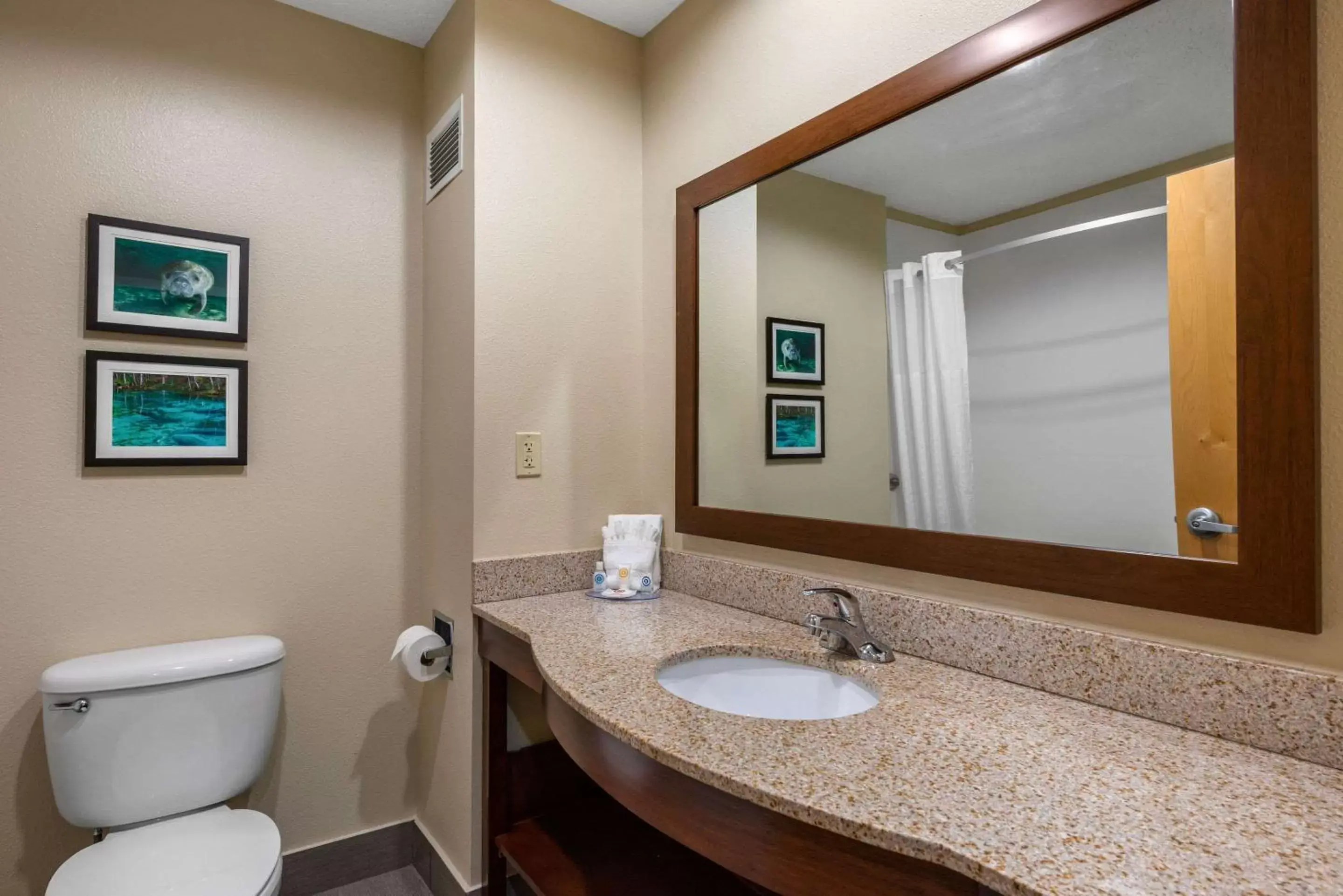 Photo of the whole room, Bathroom in Comfort Inn & Suites Wildwood – The Villages