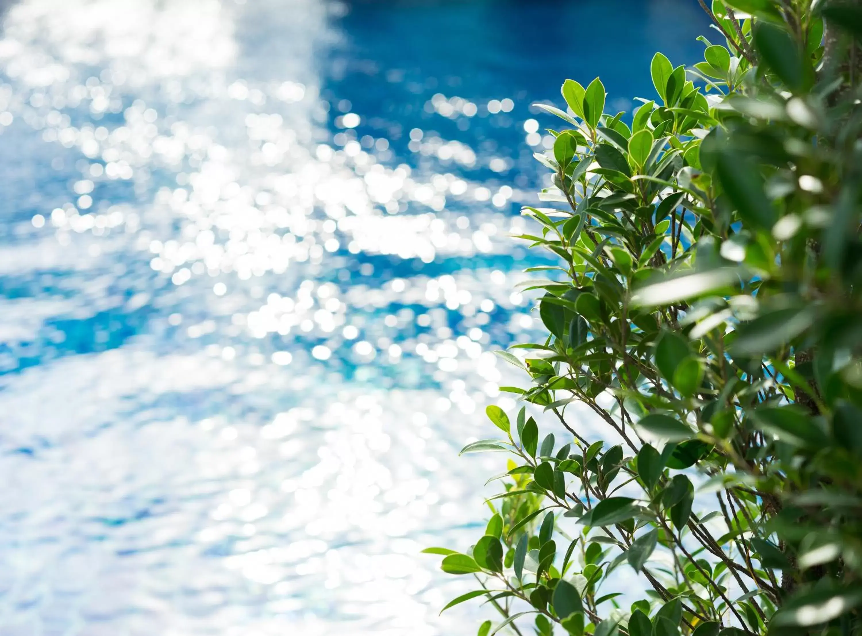 Swimming pool, Natural Landscape in Vann Hua Hin Resort