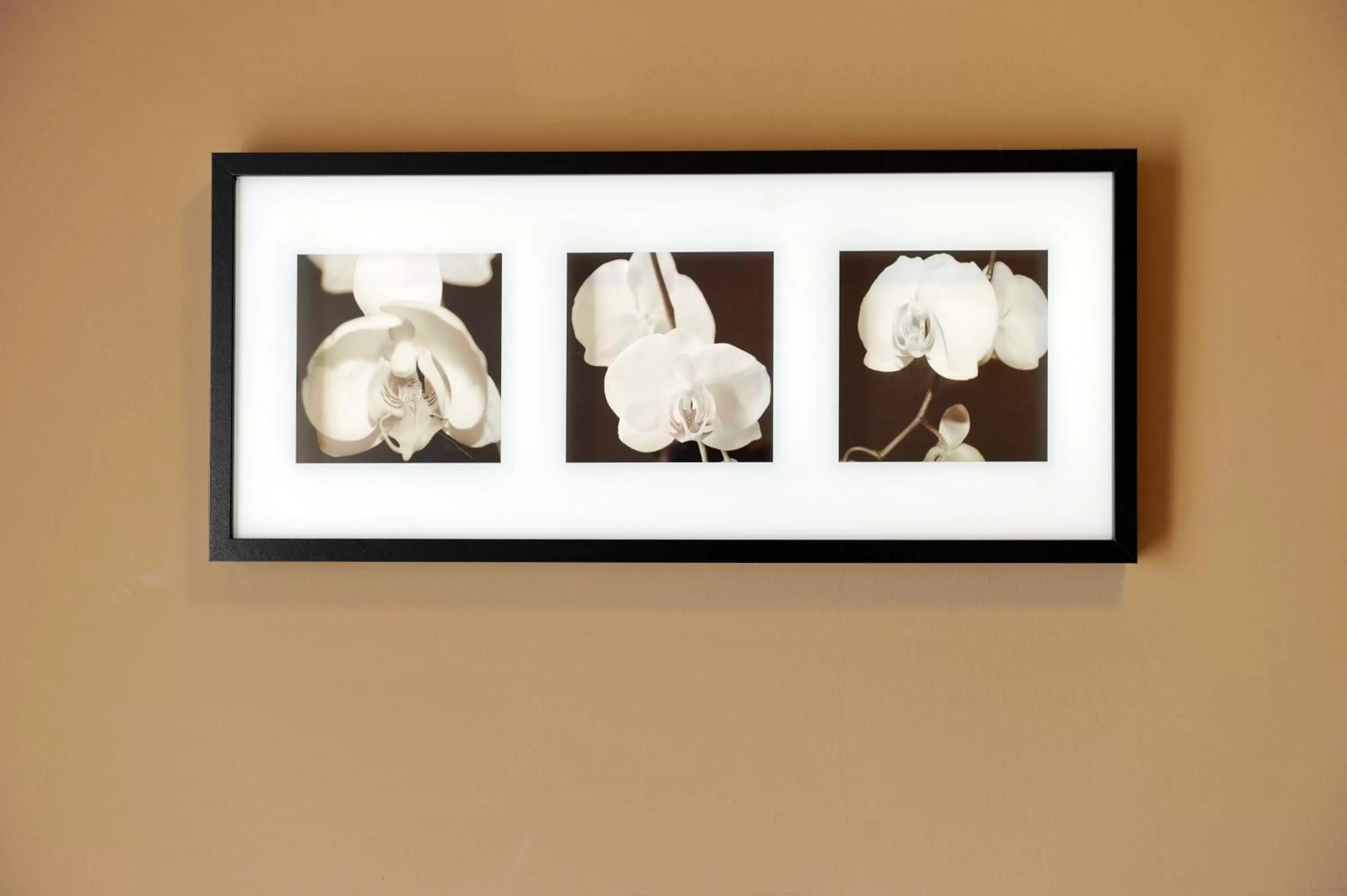 Decorative detail in M14 Hotel & Spa