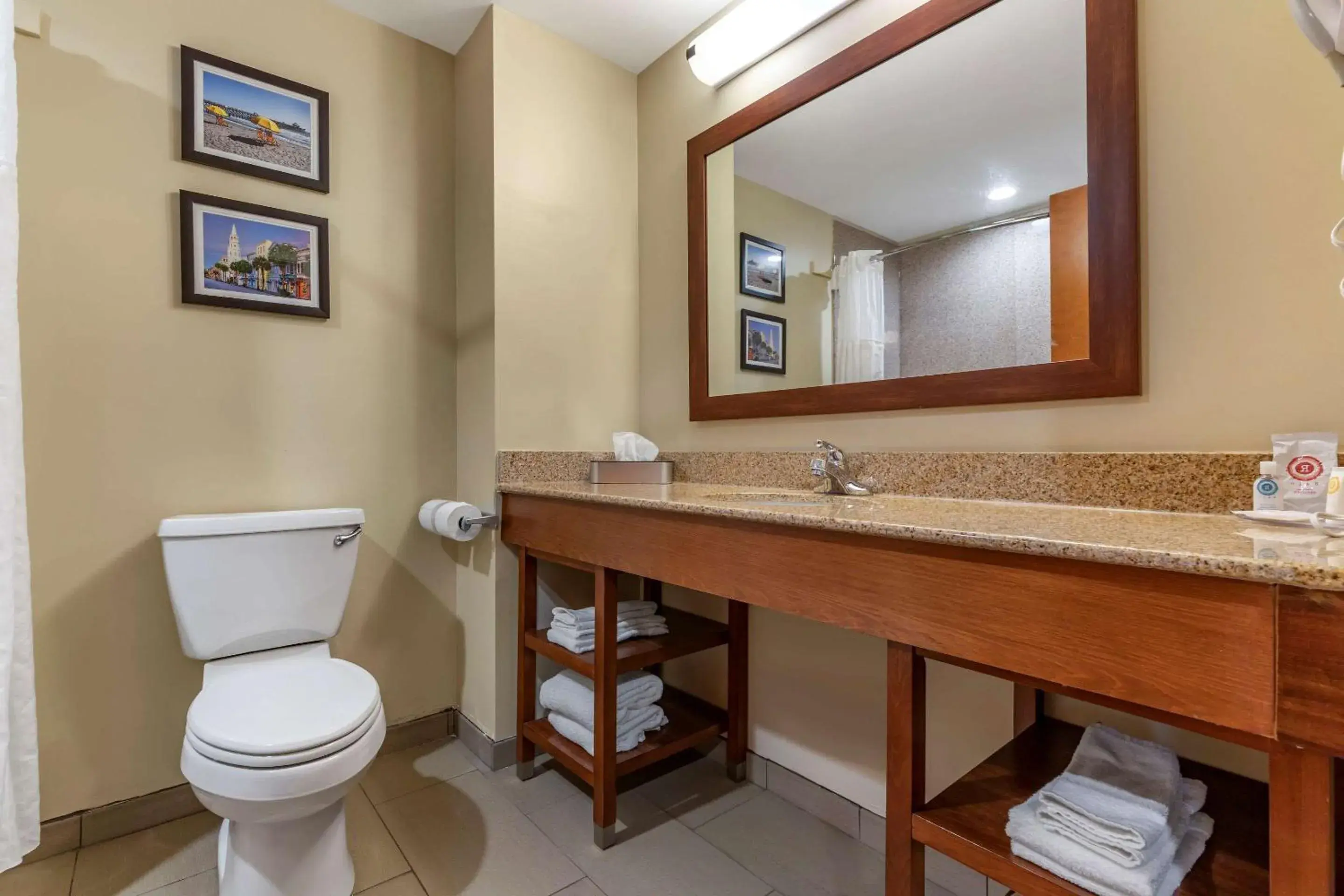 Bathroom in Comfort Inn & Suites Orangeburg