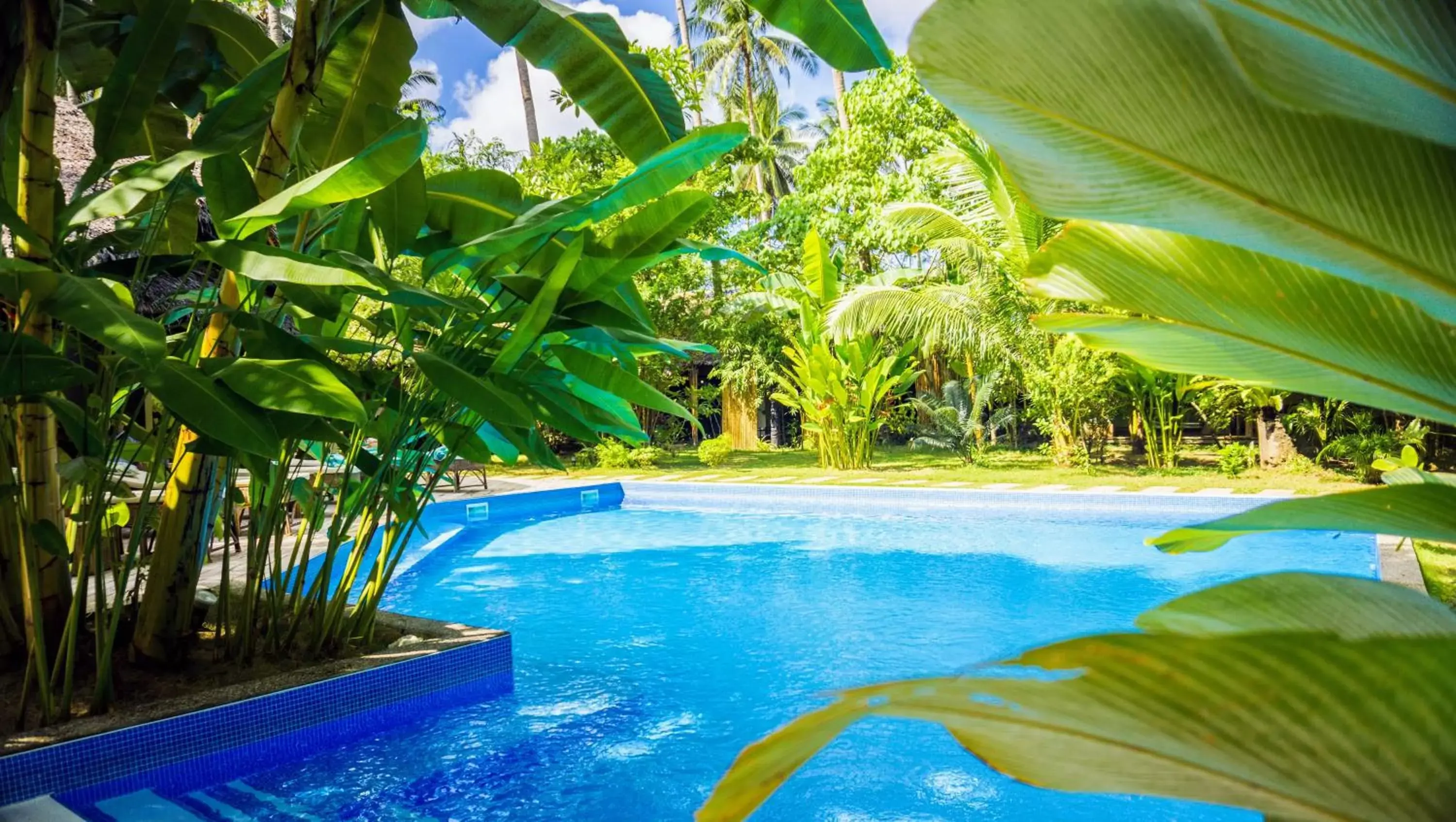 Swimming Pool in El Nido Coco Resort