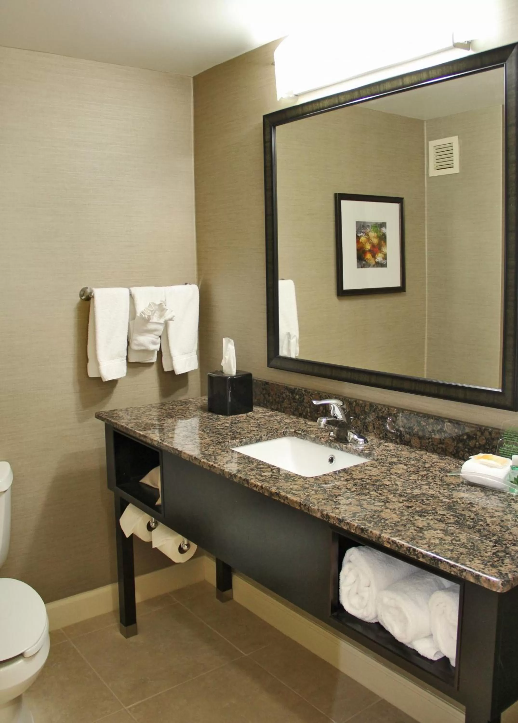 Bathroom in Holiday Inn Charlotte University by IHG