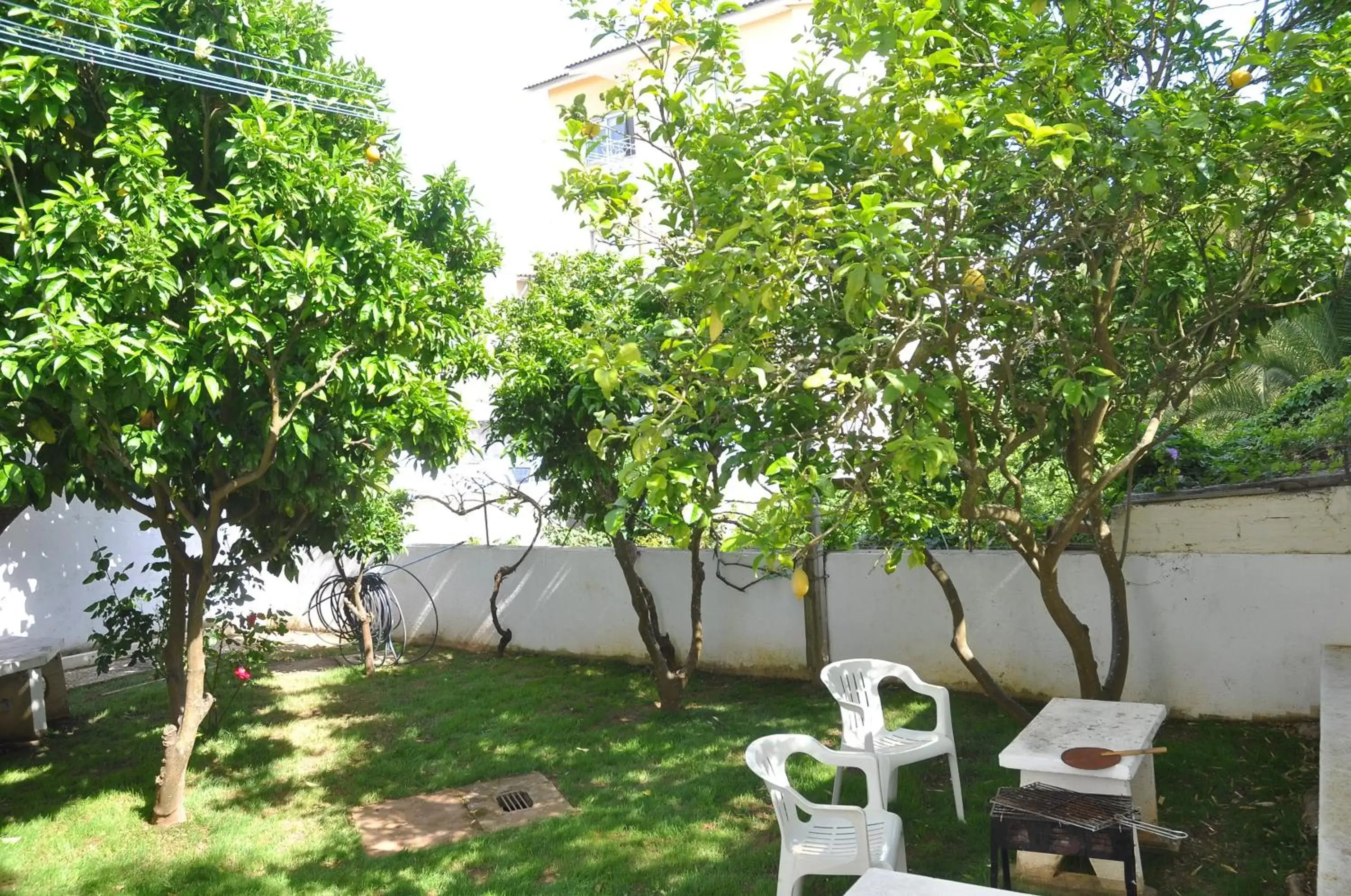 Property building, Garden in Manelisa Cascais