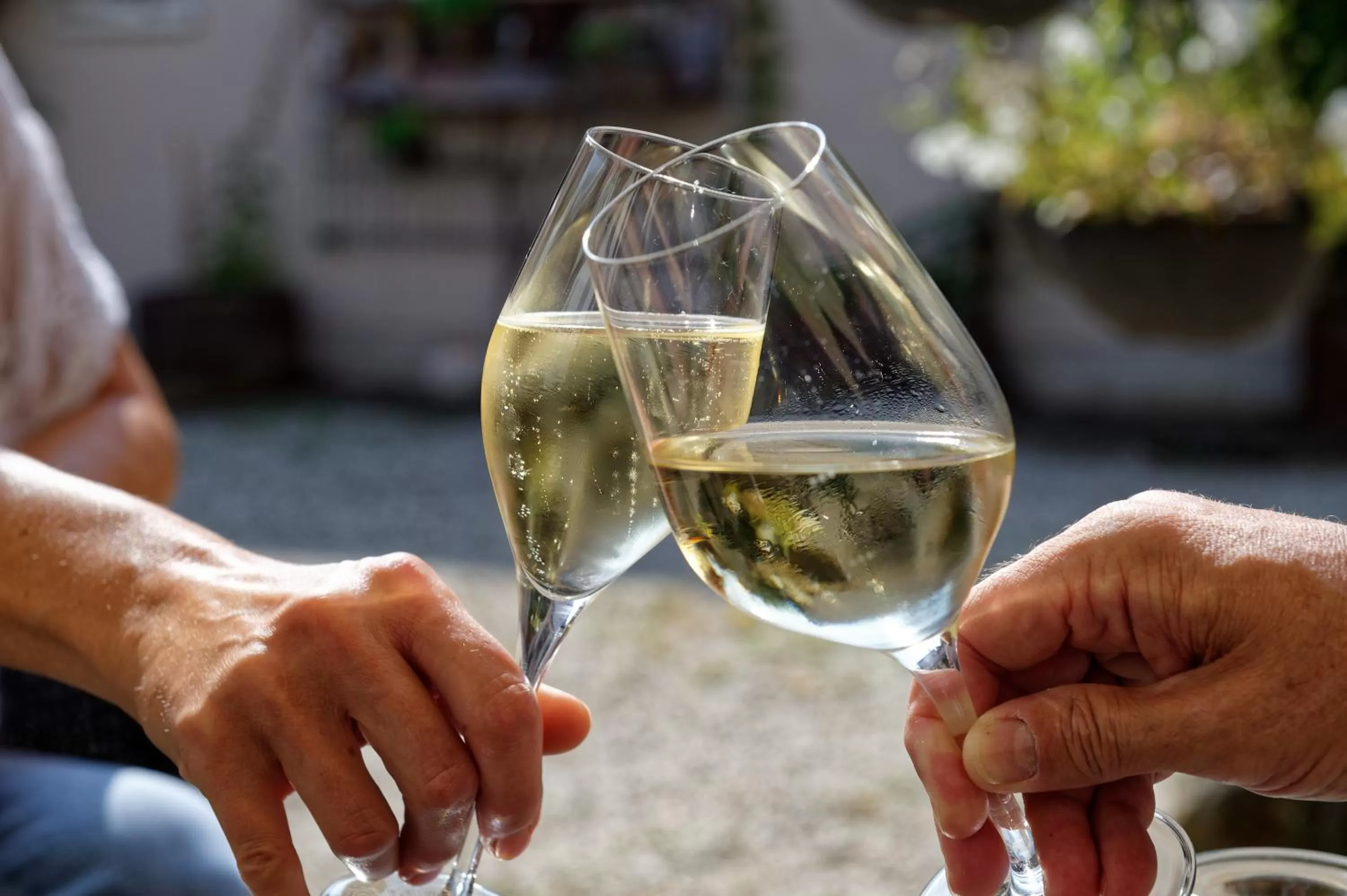 Lounge or bar in Salischer Hof