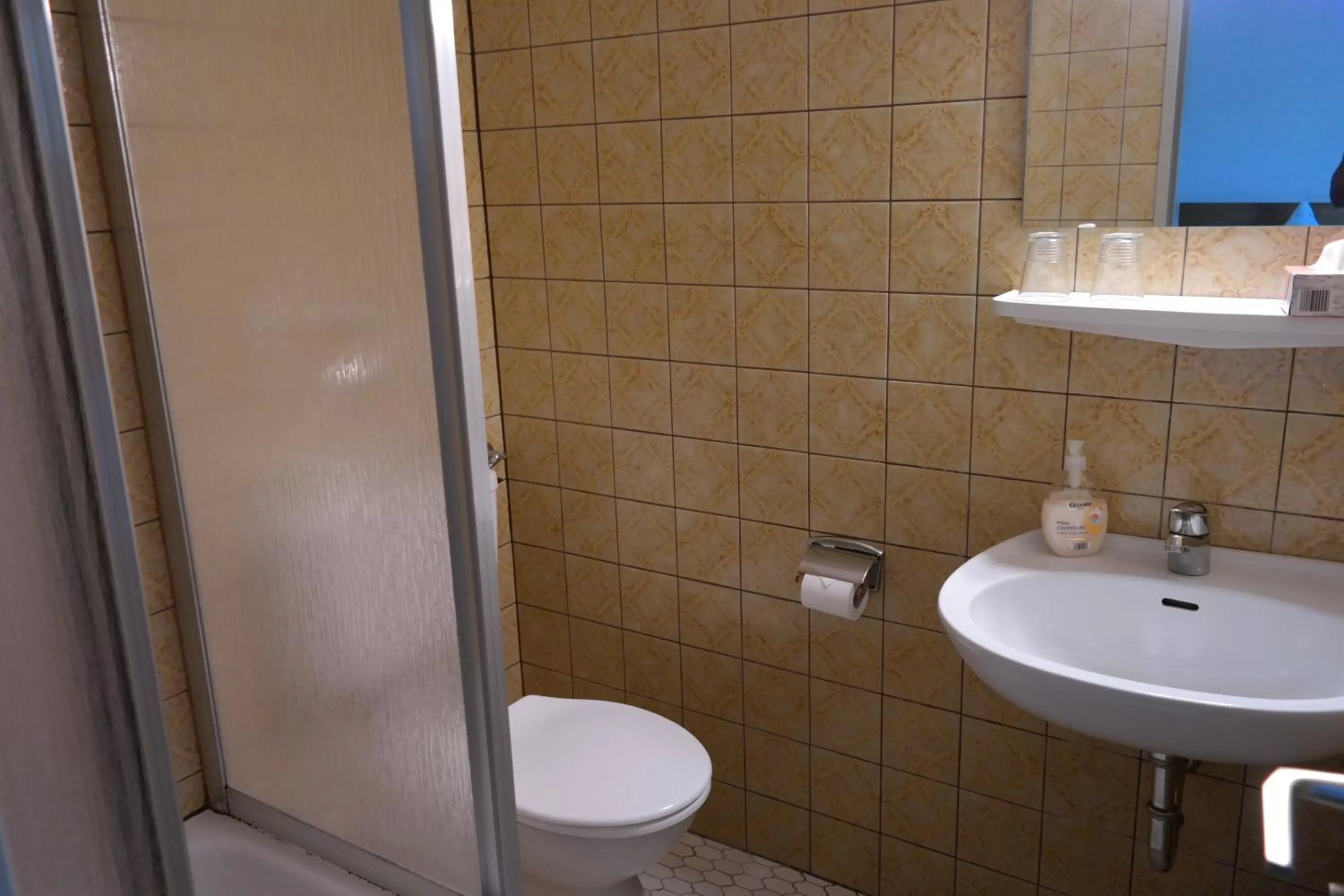 Shower in Herzog's Ulsterbrücke Garni Hotel