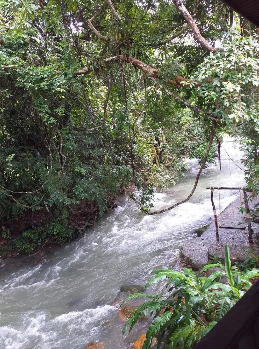 Tree Tops River Huts