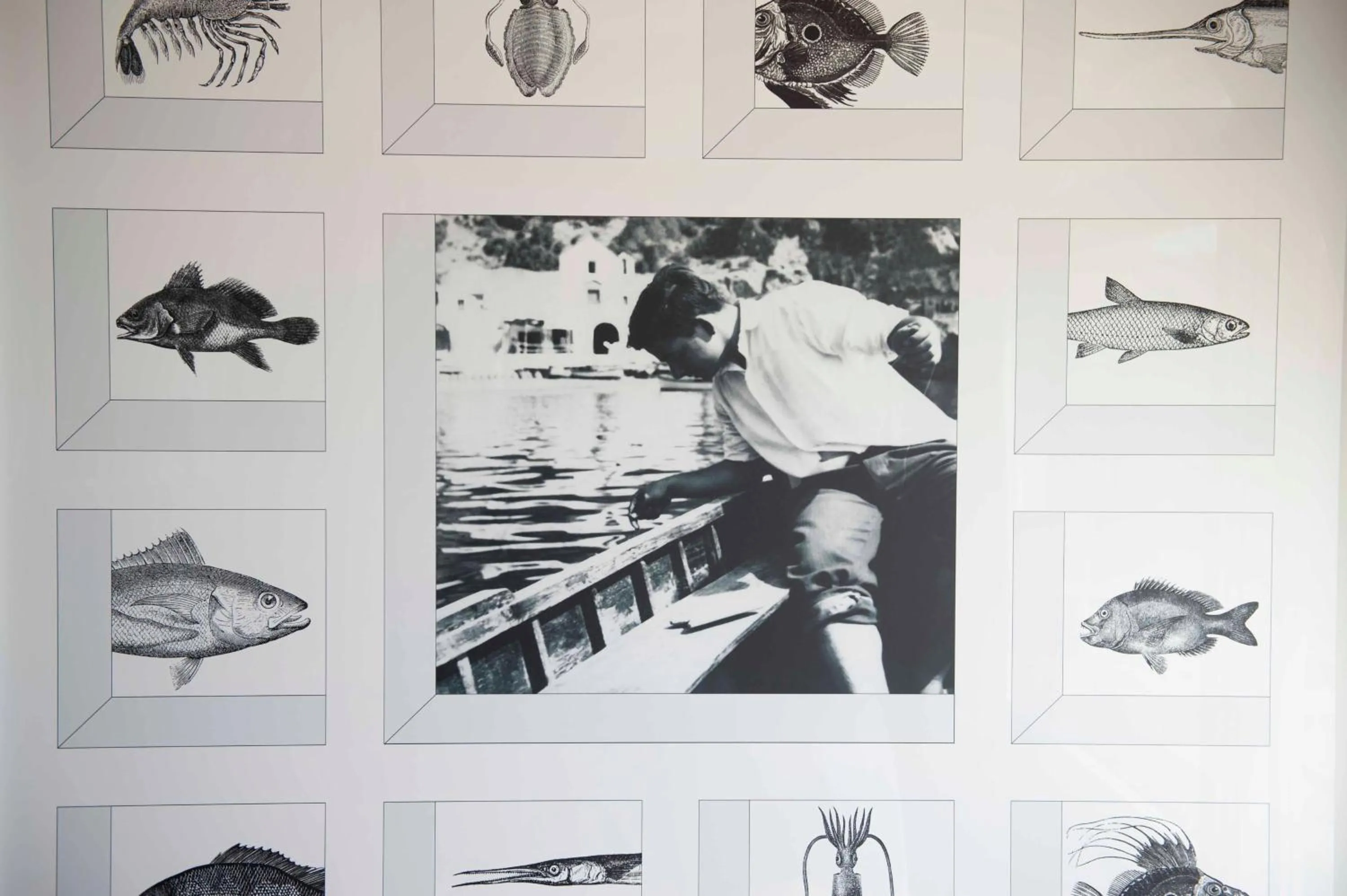 Other in Taverna Del Capitano