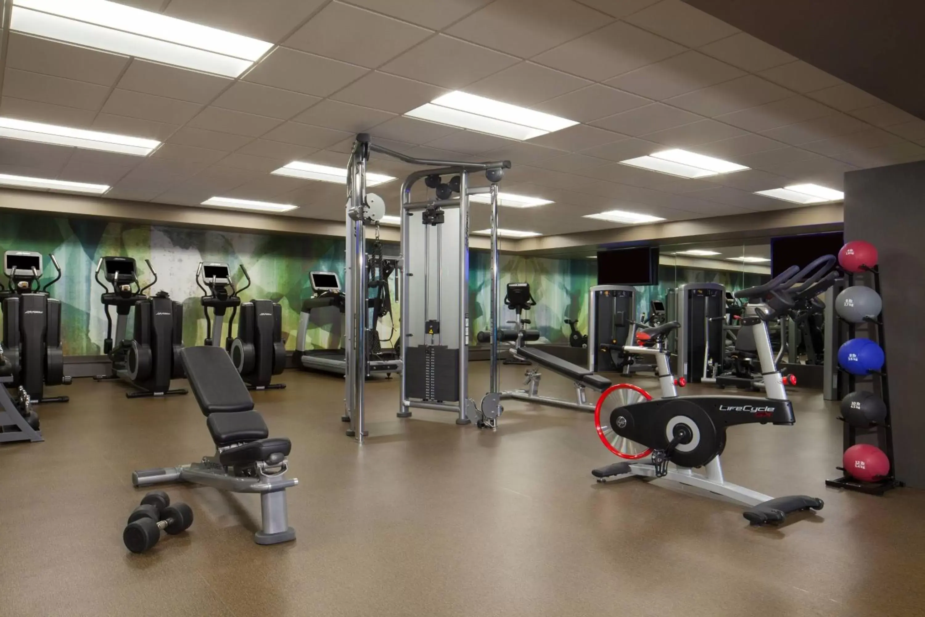 Fitness centre/facilities, Fitness Center/Facilities in Dallas/Fort Worth Airport Marriott