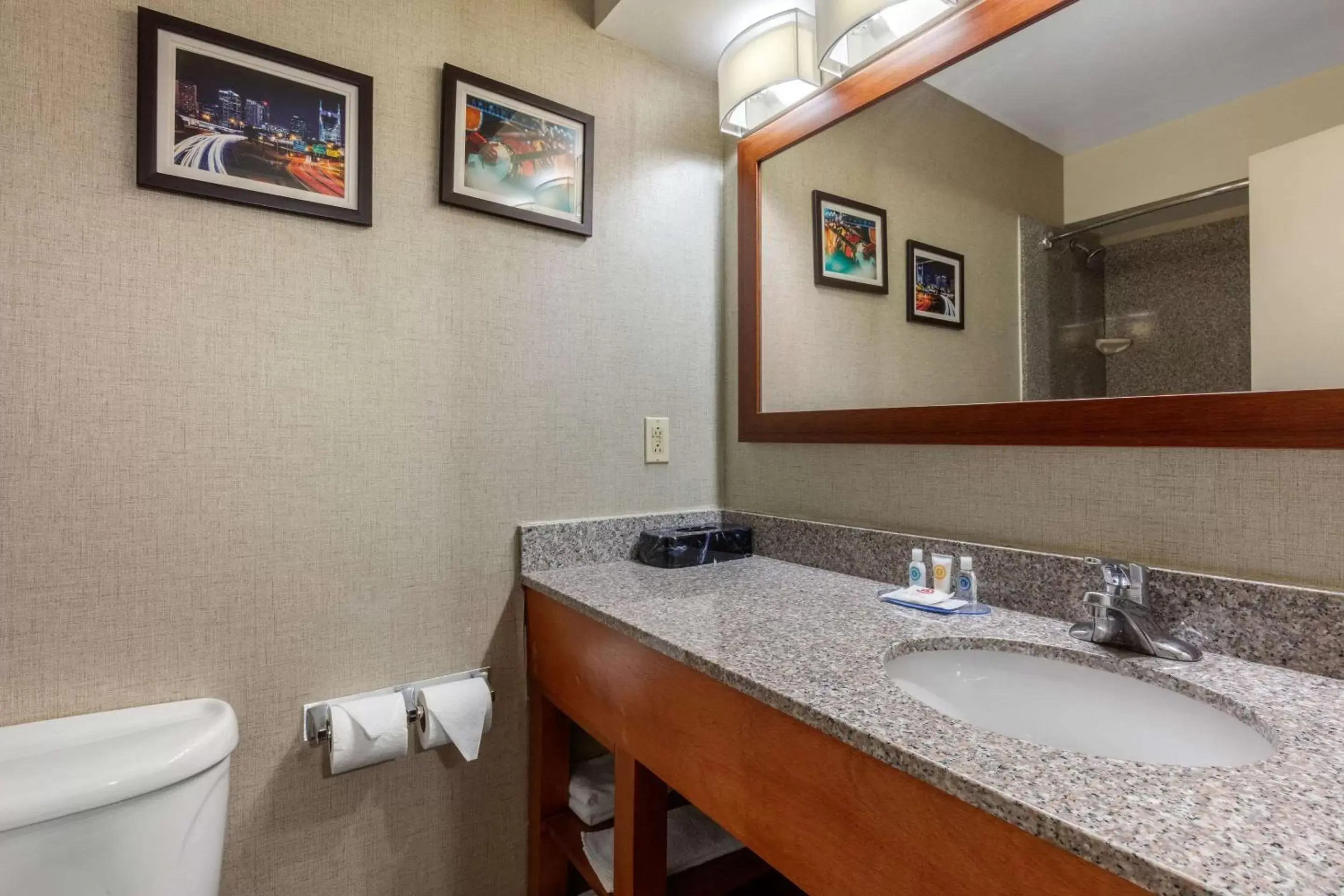 Photo of the whole room, Bathroom in Comfort Inn & Suites Nashville-Antioch