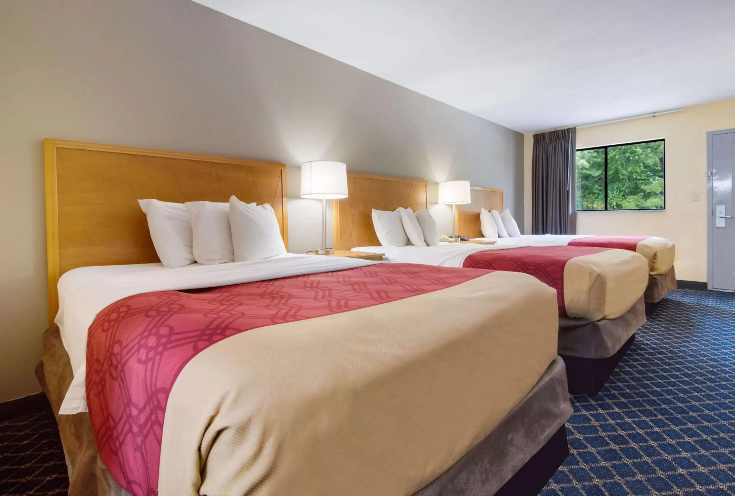 Photo of the whole room, Bed in Econo Lodge Battleboro - Rocky Mount I-95