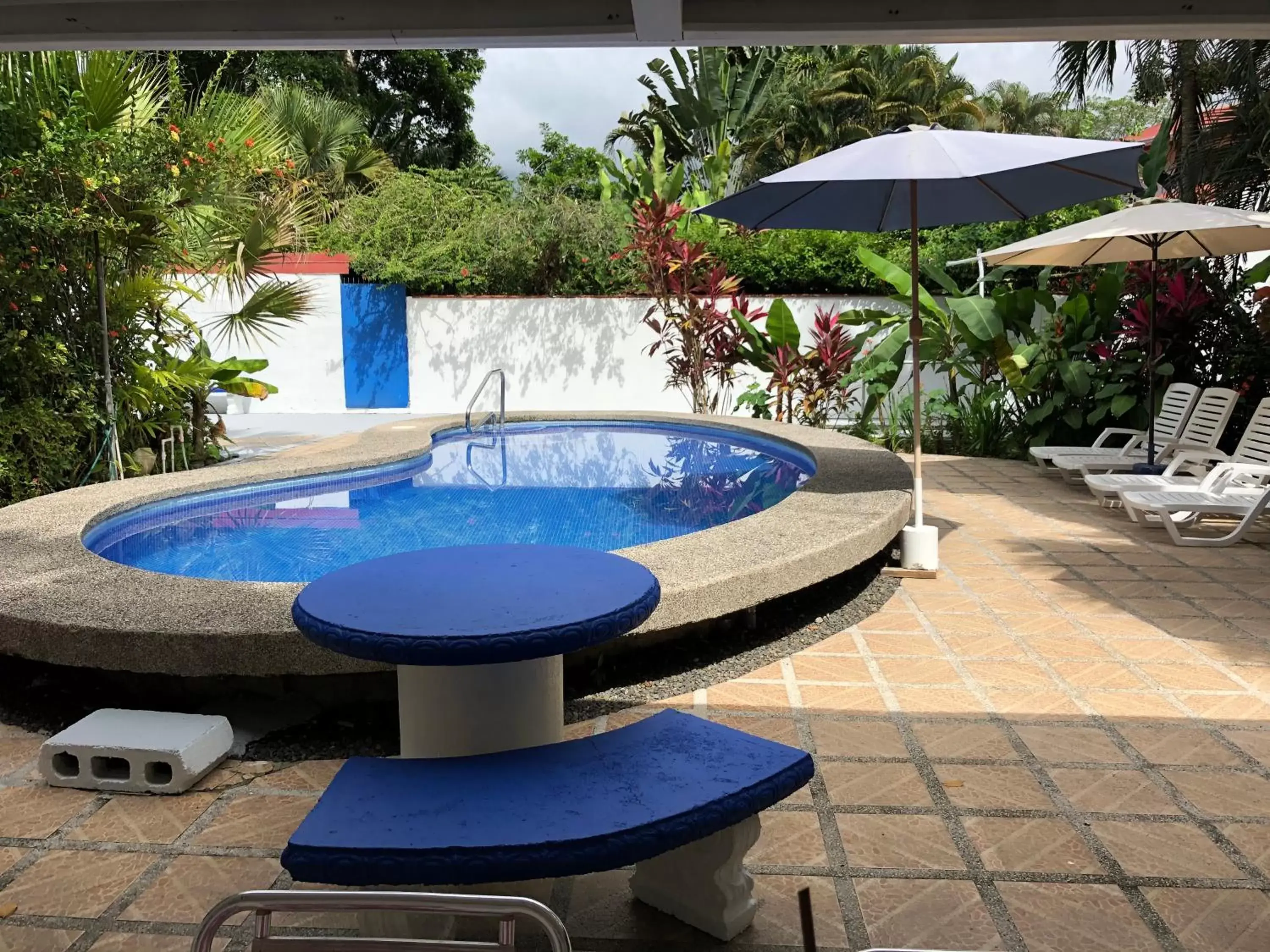 Pool view, Swimming Pool in La Perlita